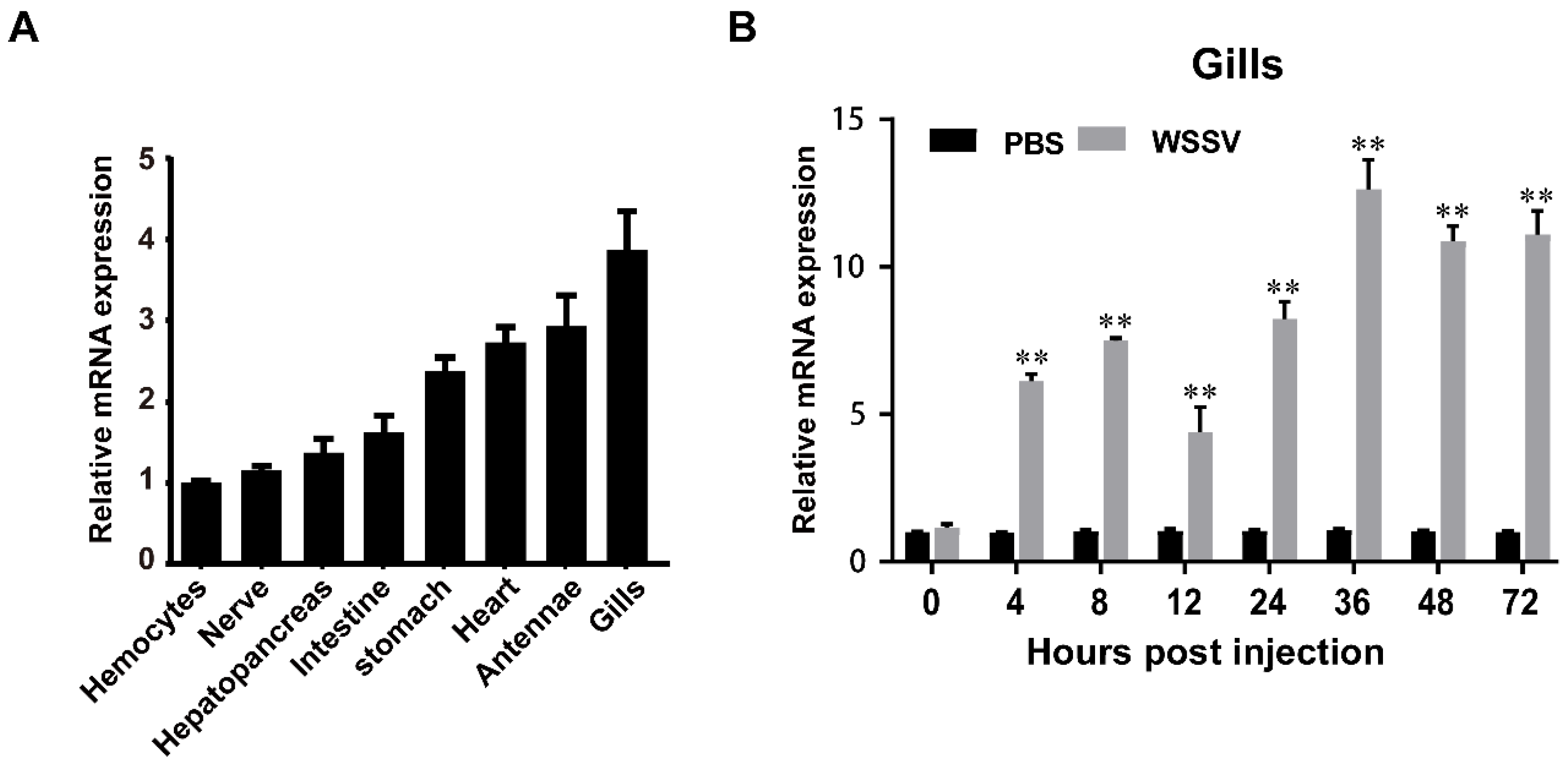 Viruses 15 02361 g003