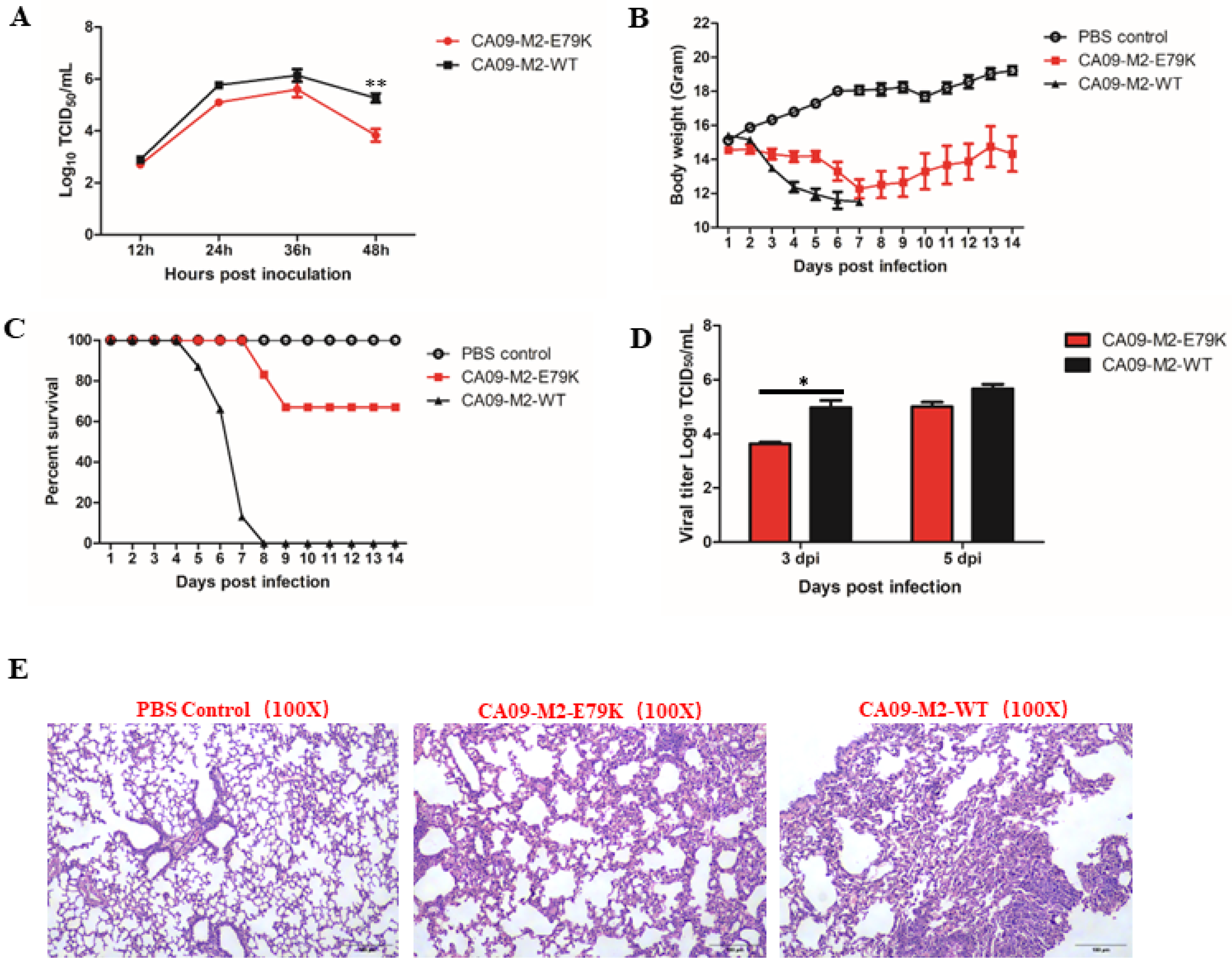 Viruses 15 02365 g002 Viruses 15 02365 g002