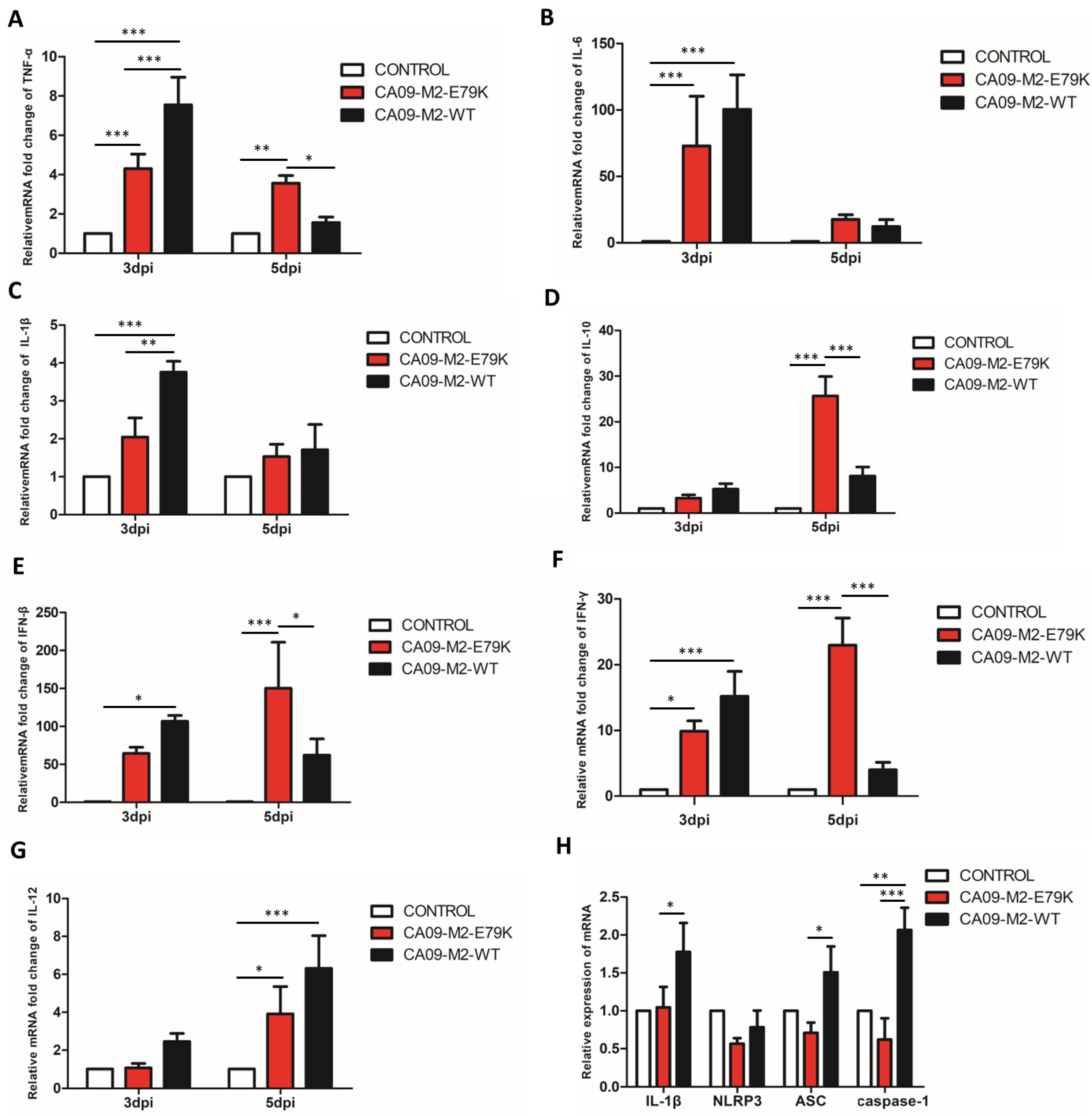 Viruses 15 02365 g003 Viruses 15 02365 g003