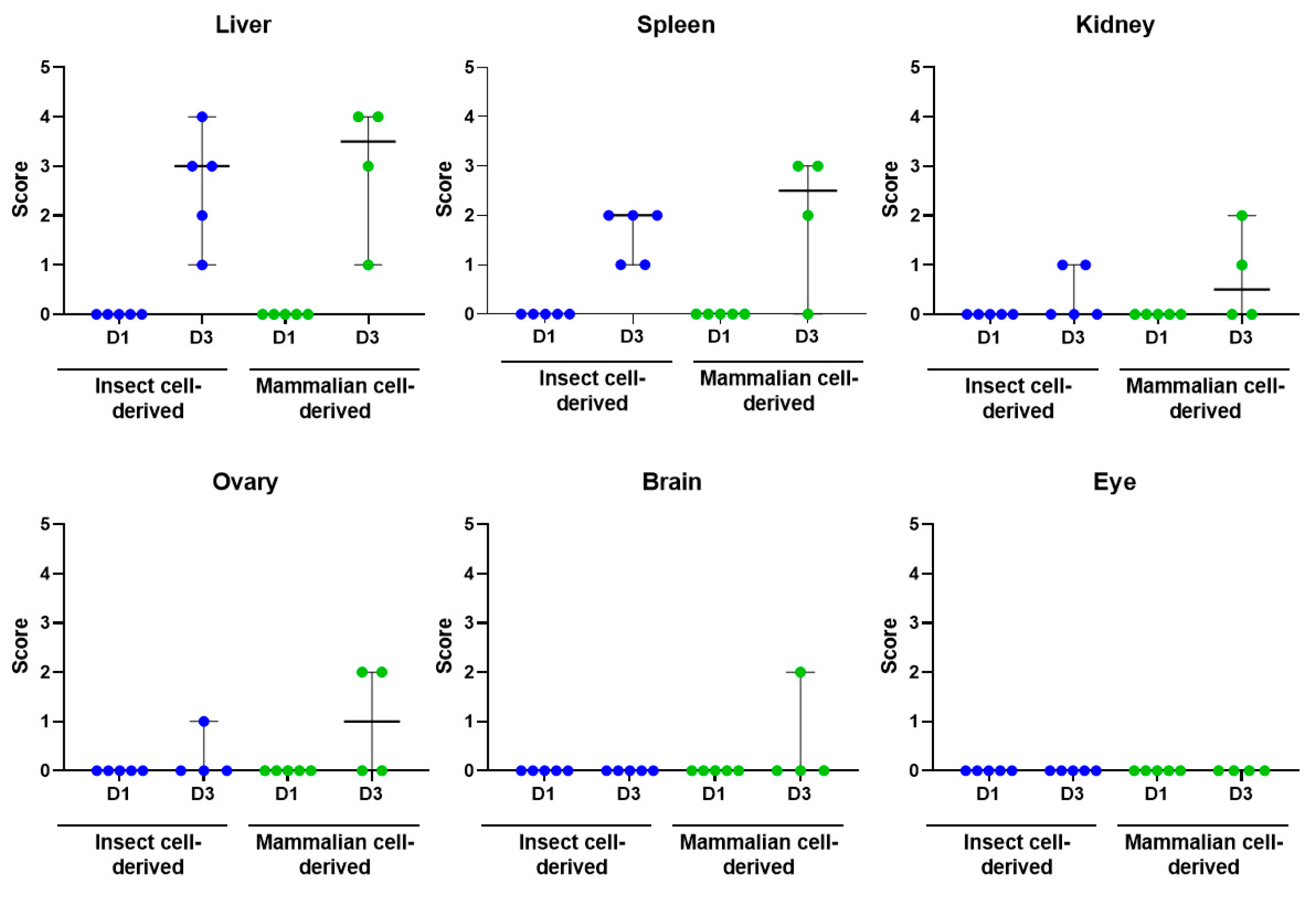 Viruses 15 02369 g005