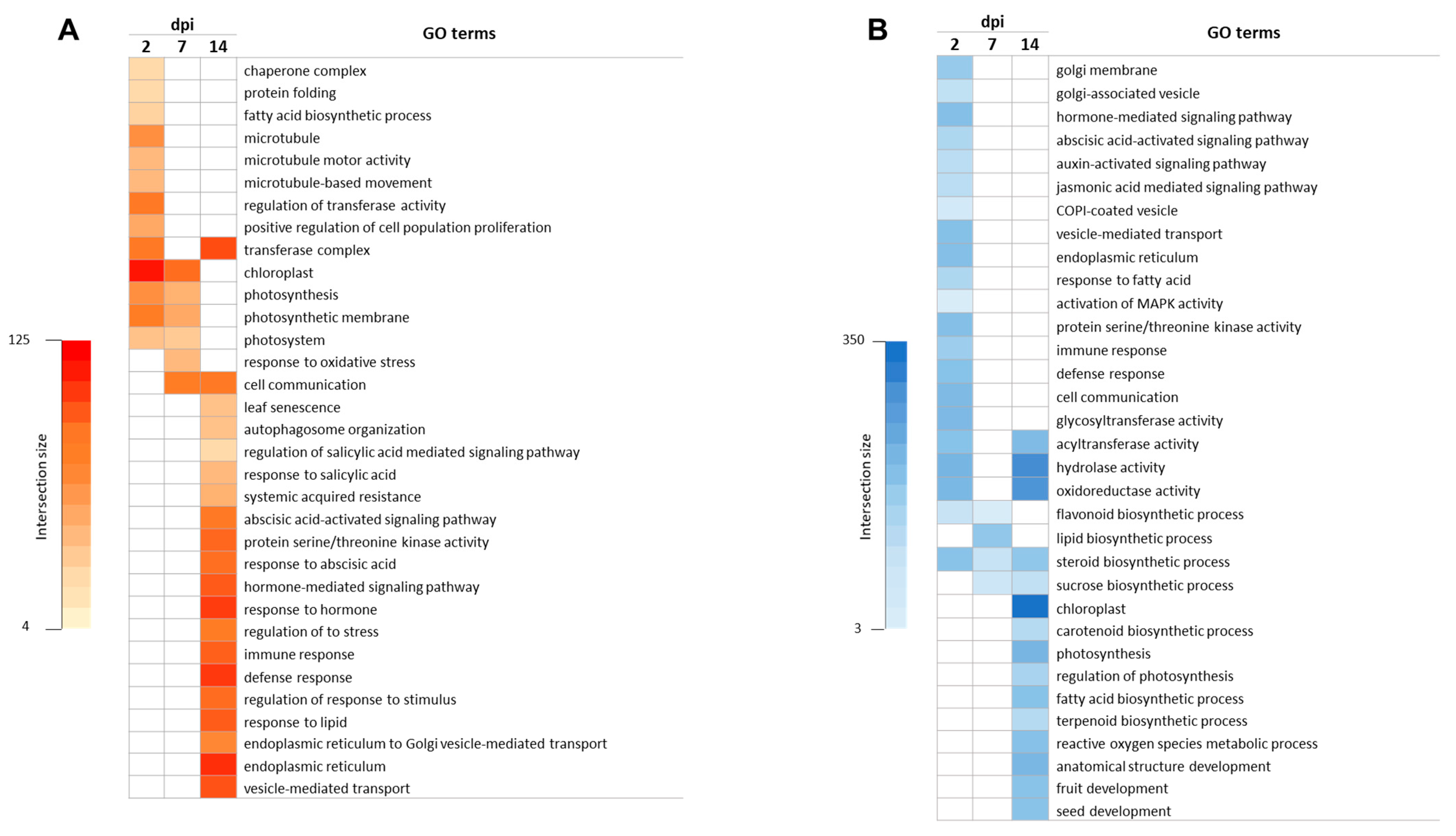 Viruses 15 02370 g002
