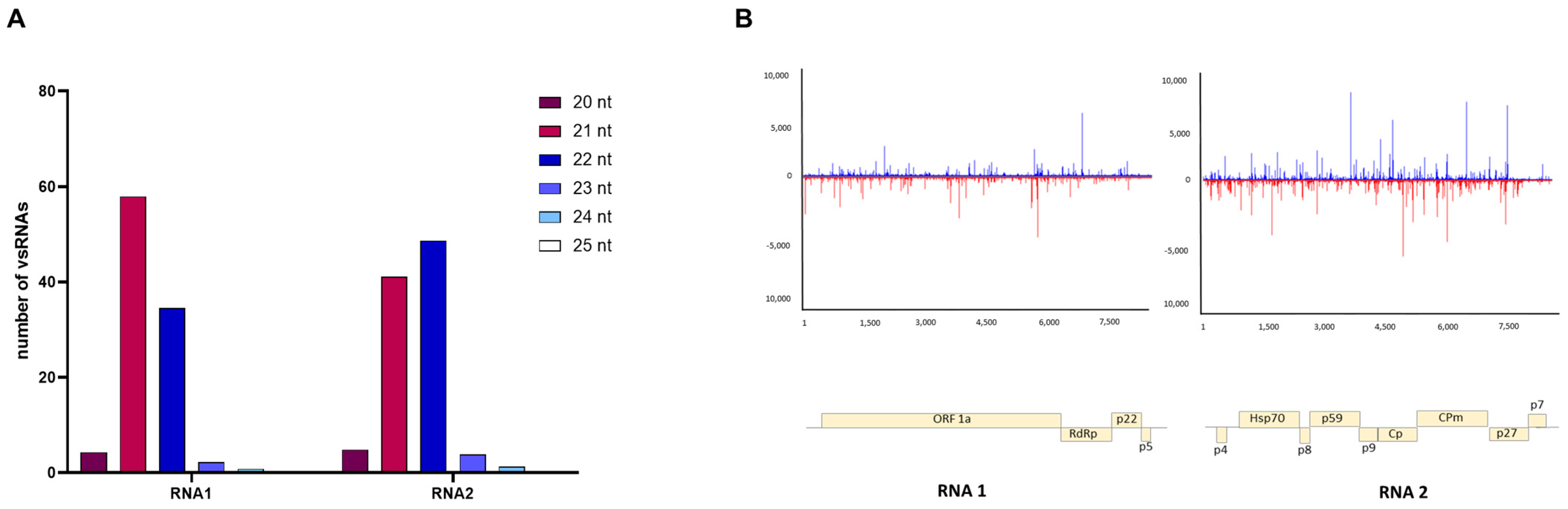 Viruses 15 02370 g004