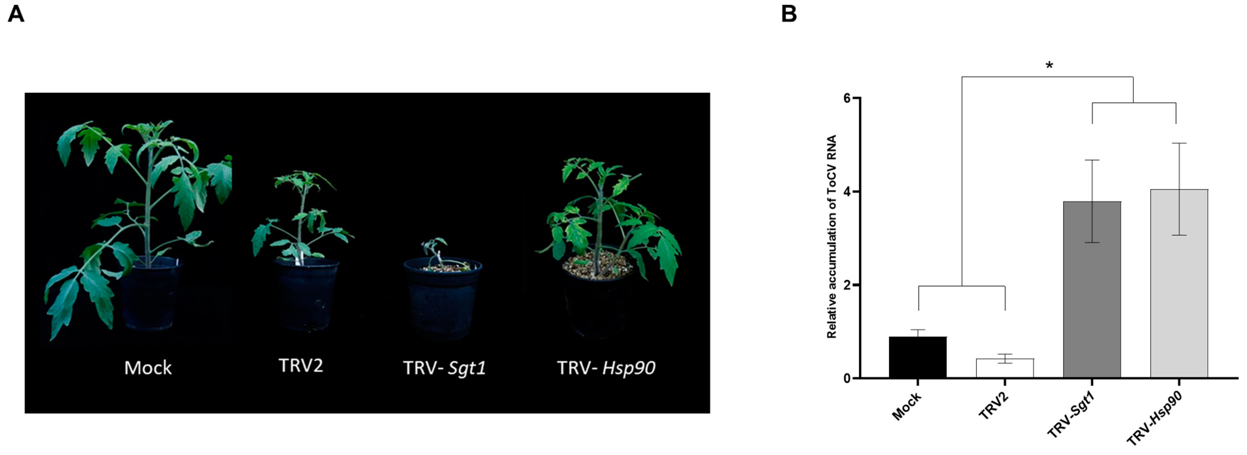 Viruses 15 02370 g005