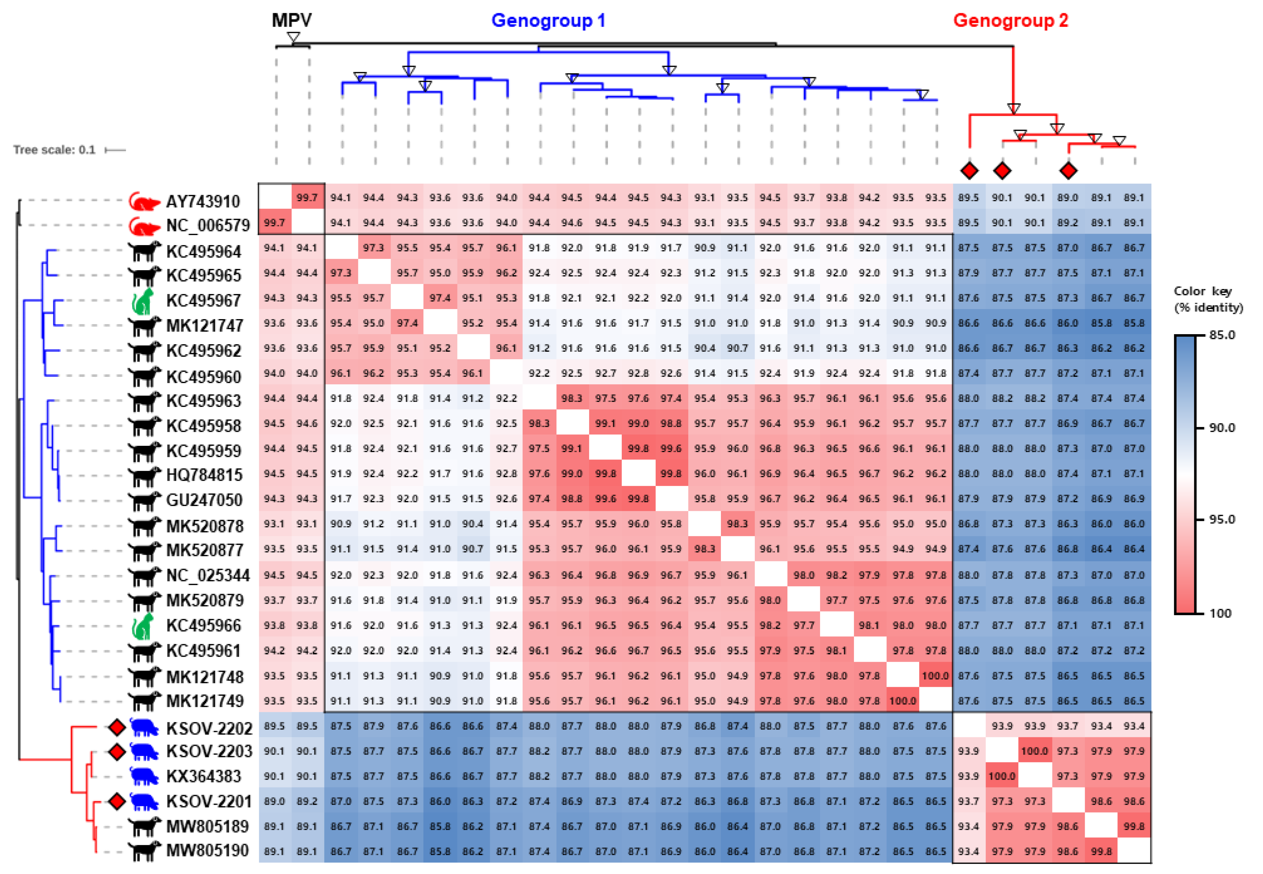 Viruses 15 02371 g002 Viruses 15 02371 g002