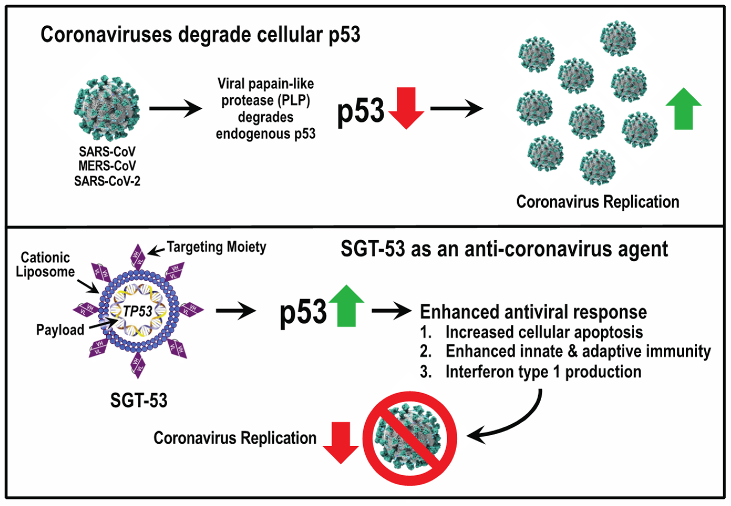 Viruses 15 02377 g002