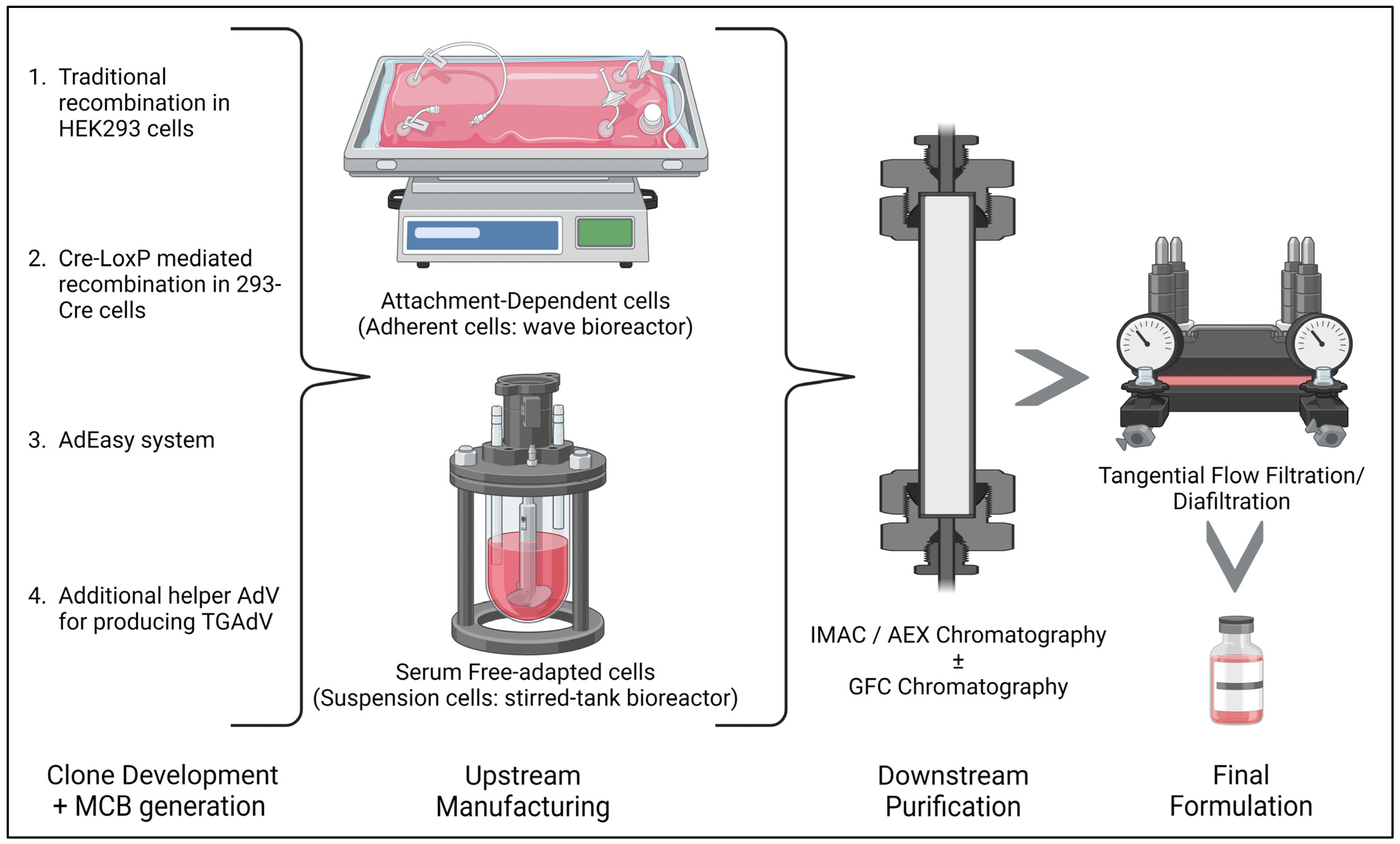 Viruses 15 02378 g004 Viruses 15 02378 g004
