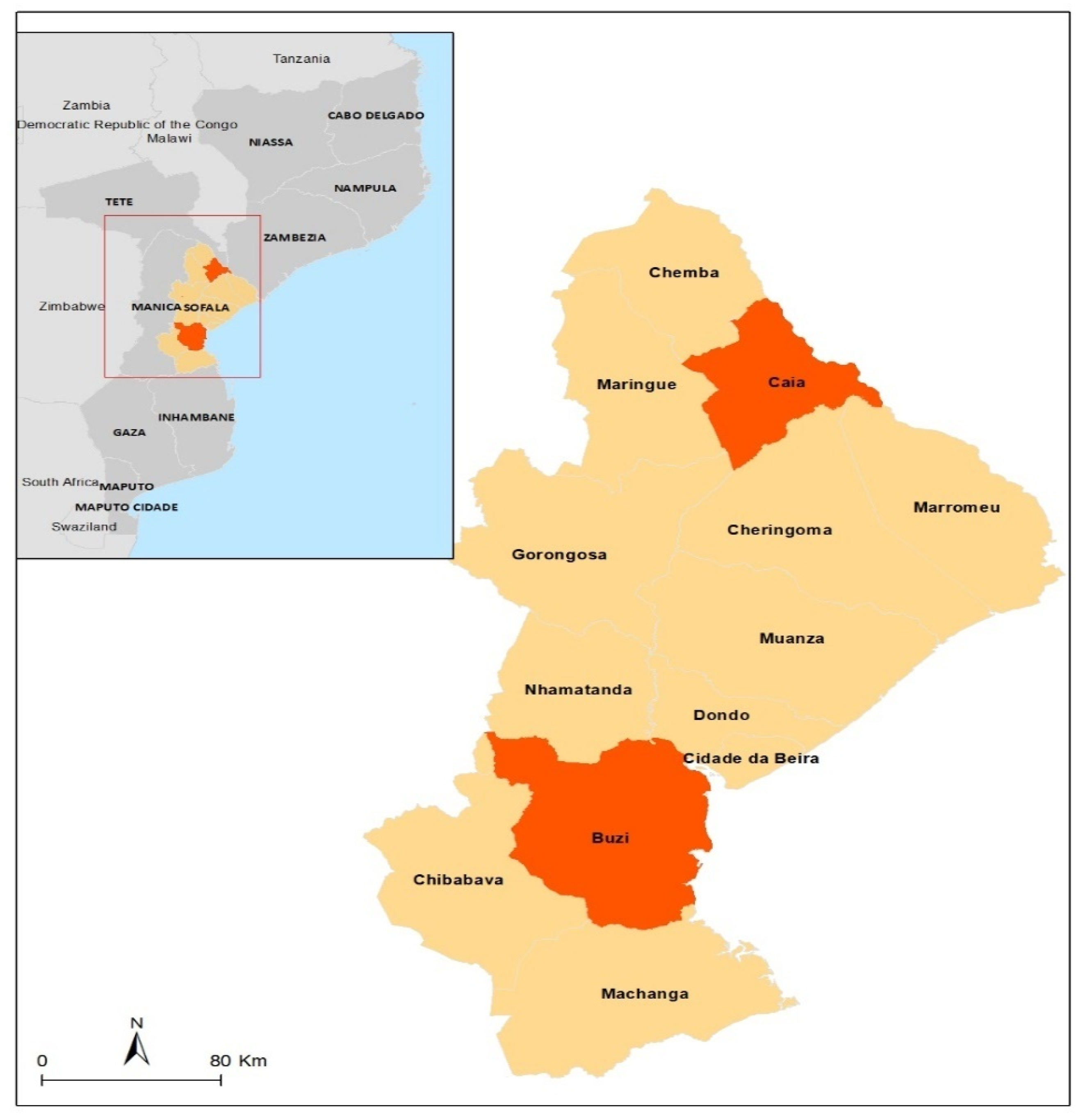 Viruses 15 02379 g001 Viruses 15 02379 g001