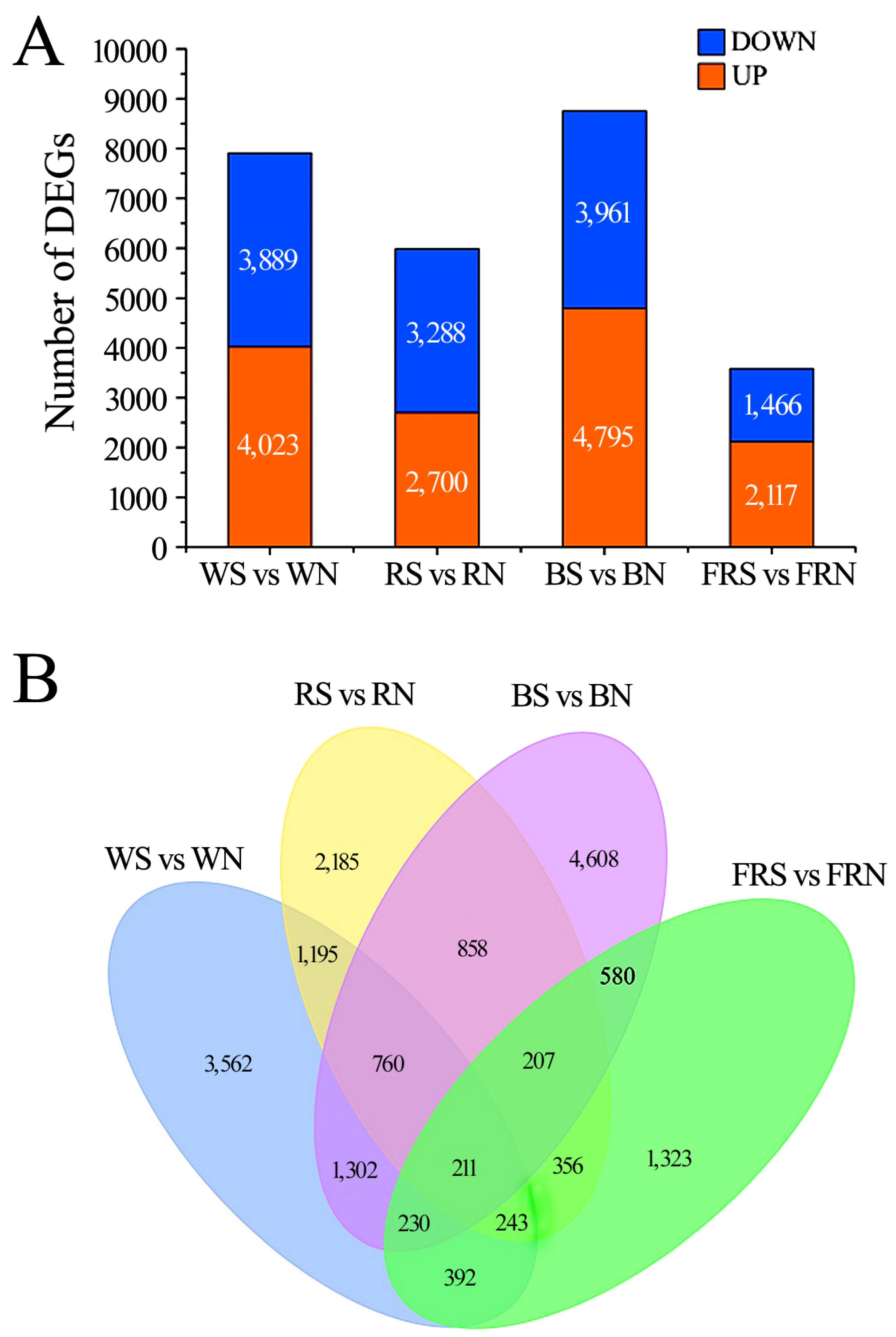 Viruses 15 02389 g003