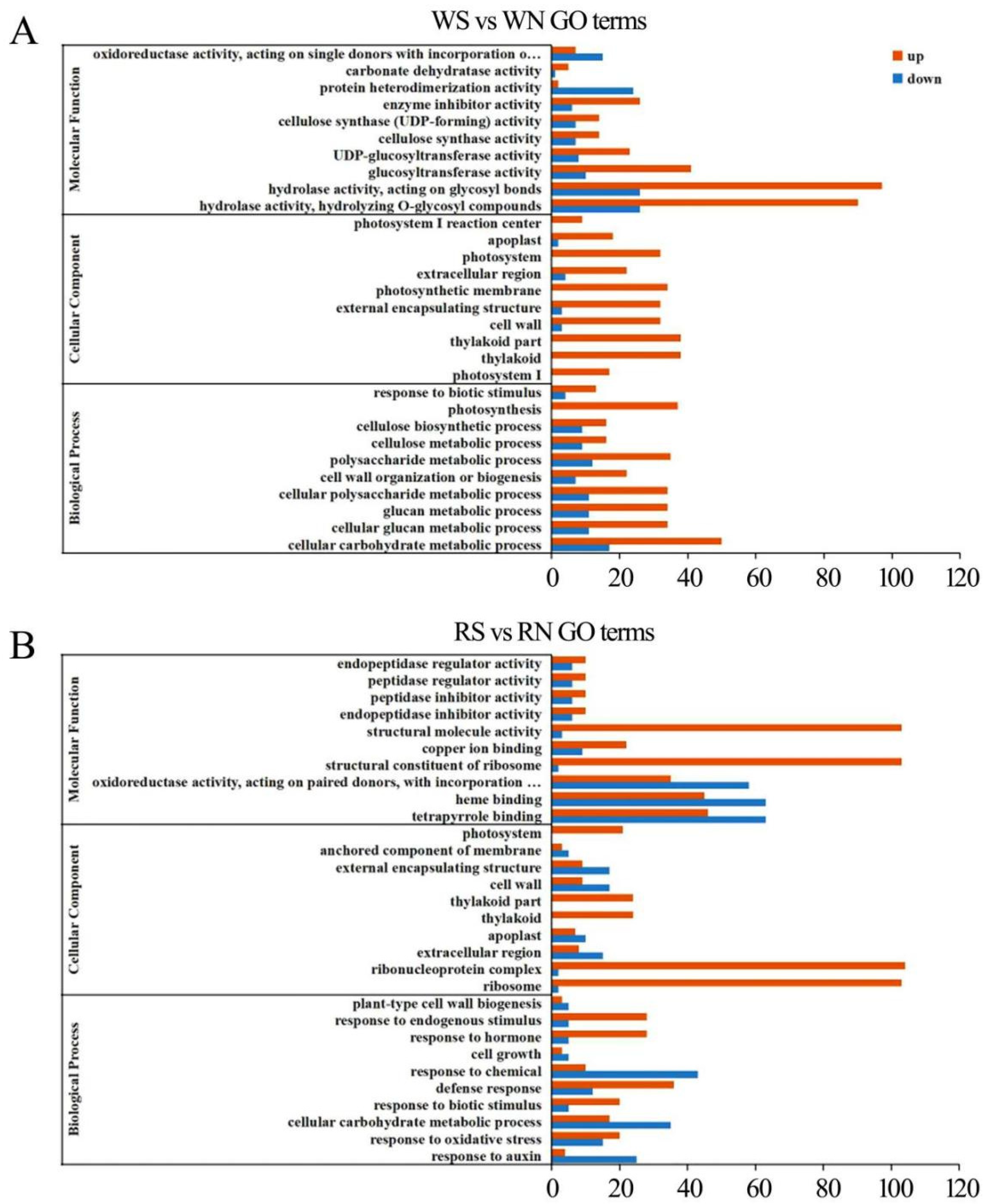 Viruses 15 02389 g004