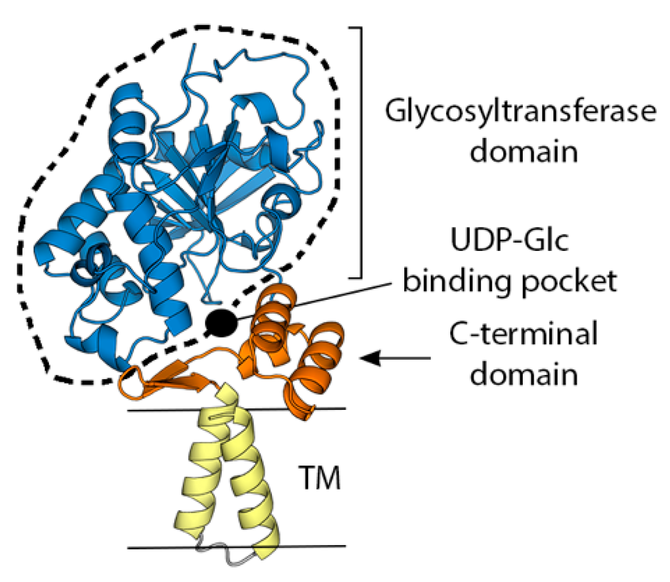 Viruses 15 02396 g003