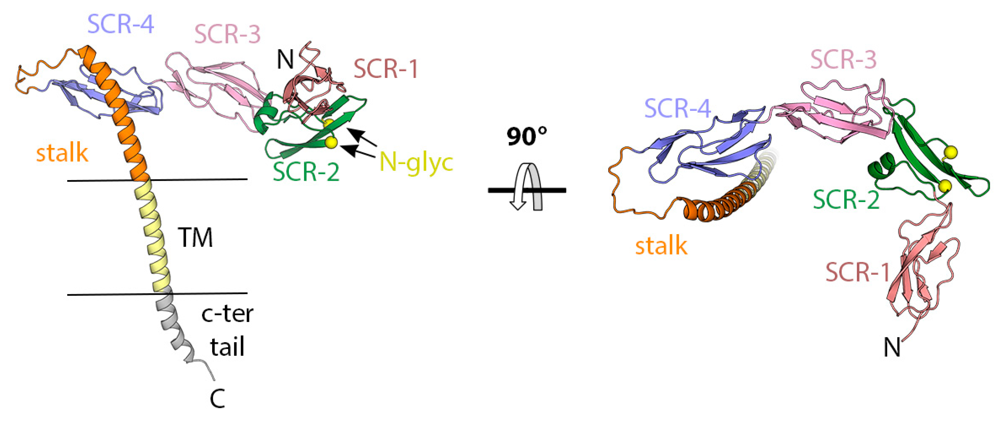 Viruses 15 02396 g006