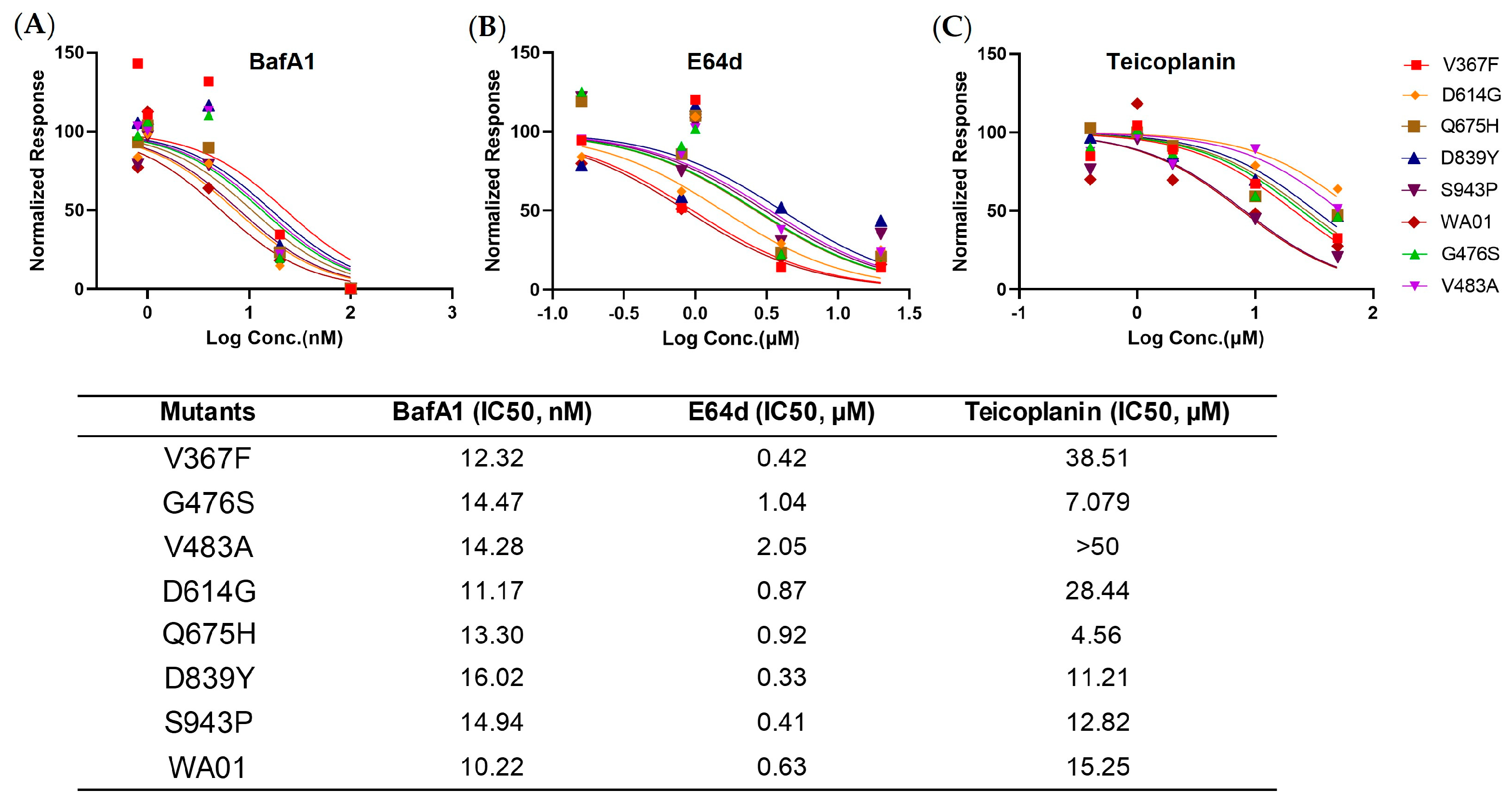 Viruses 15 02401 g003