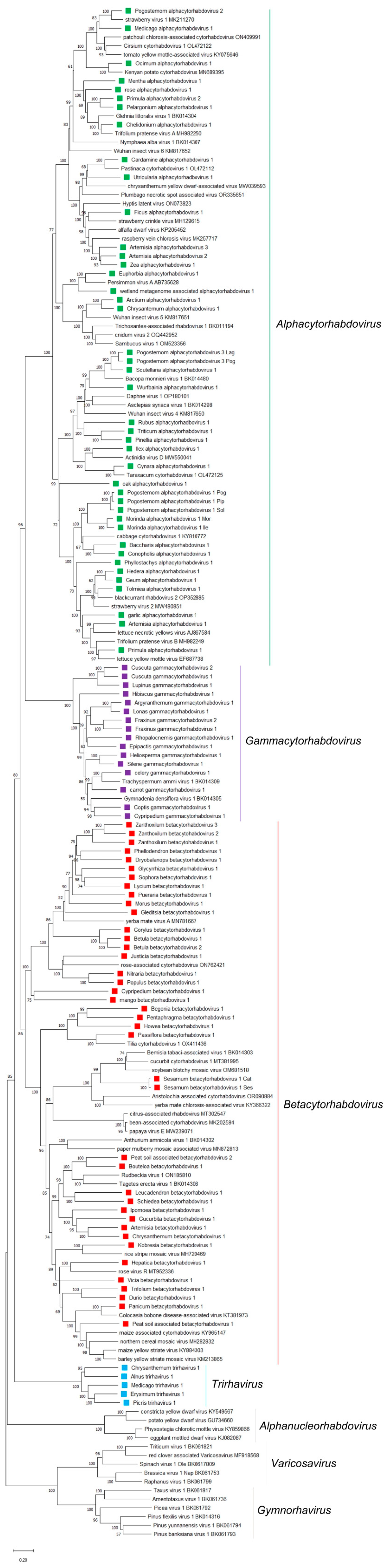 Viruses 15 02402 g001