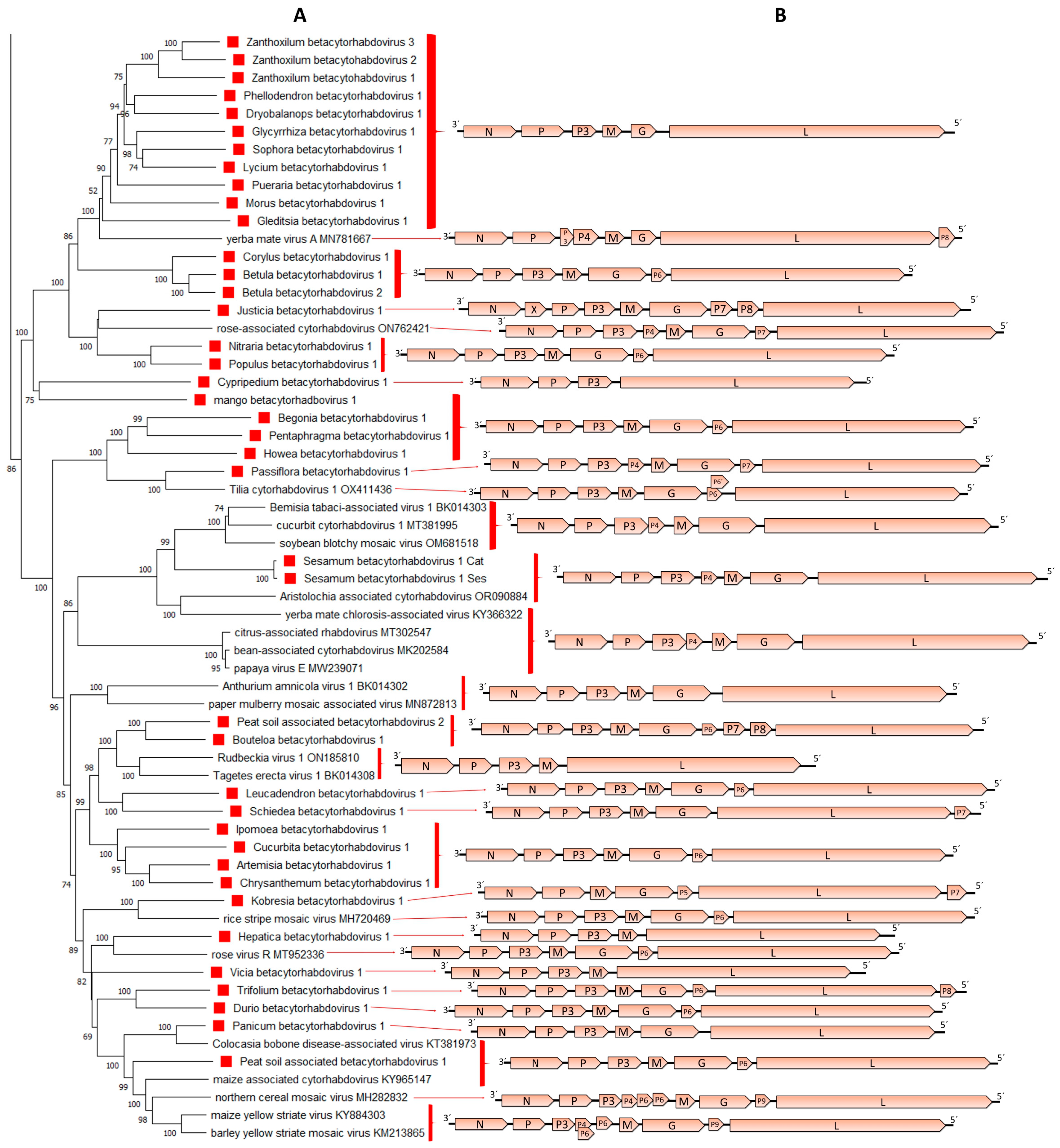 Viruses 15 02402 g003