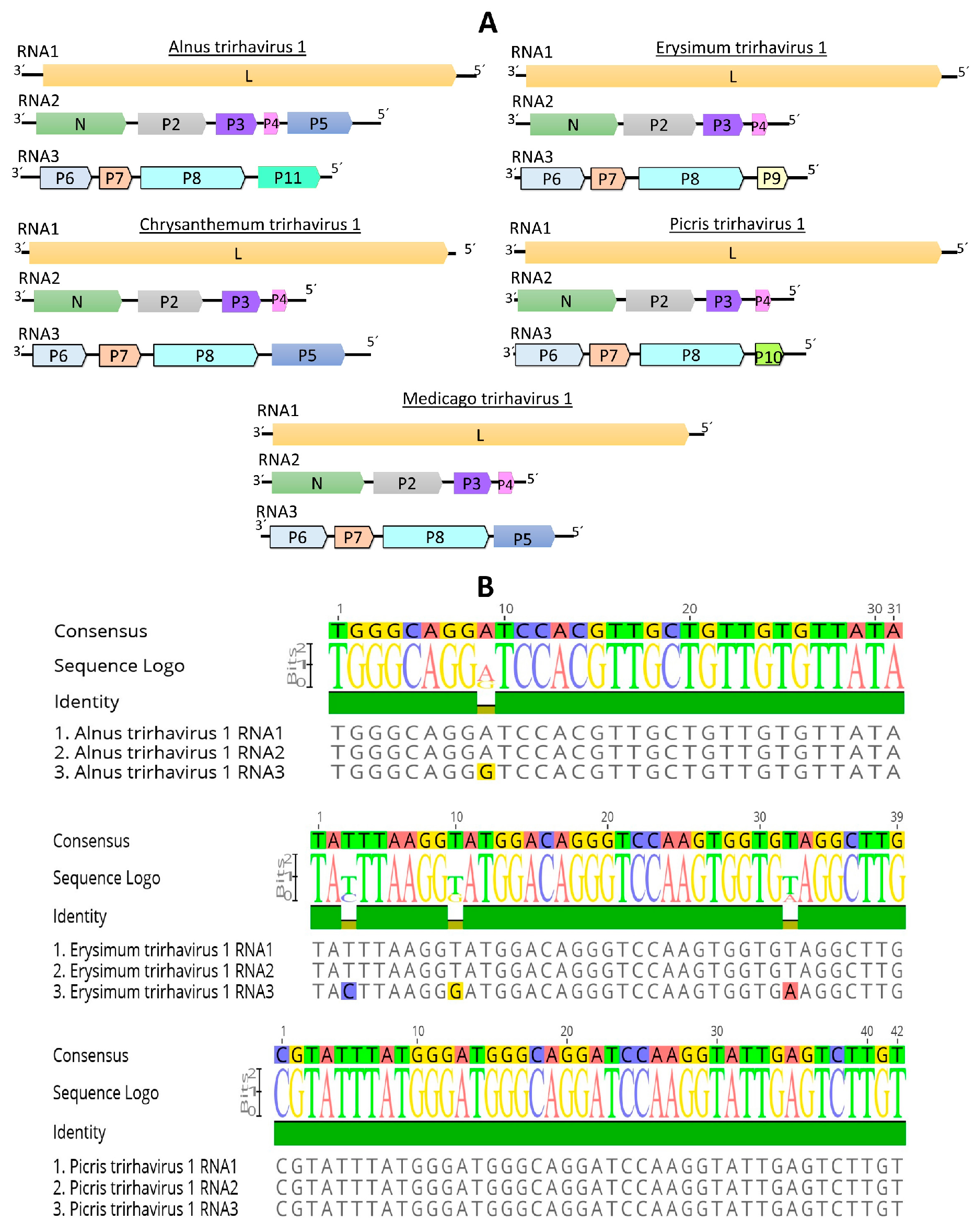 Viruses 15 02402 g005