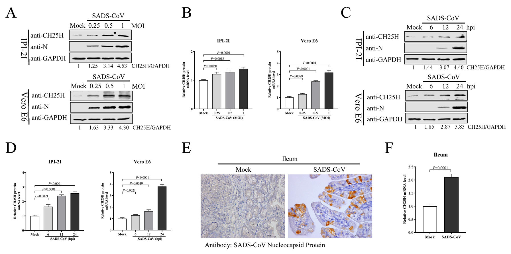 Viruses 15 02406 g001