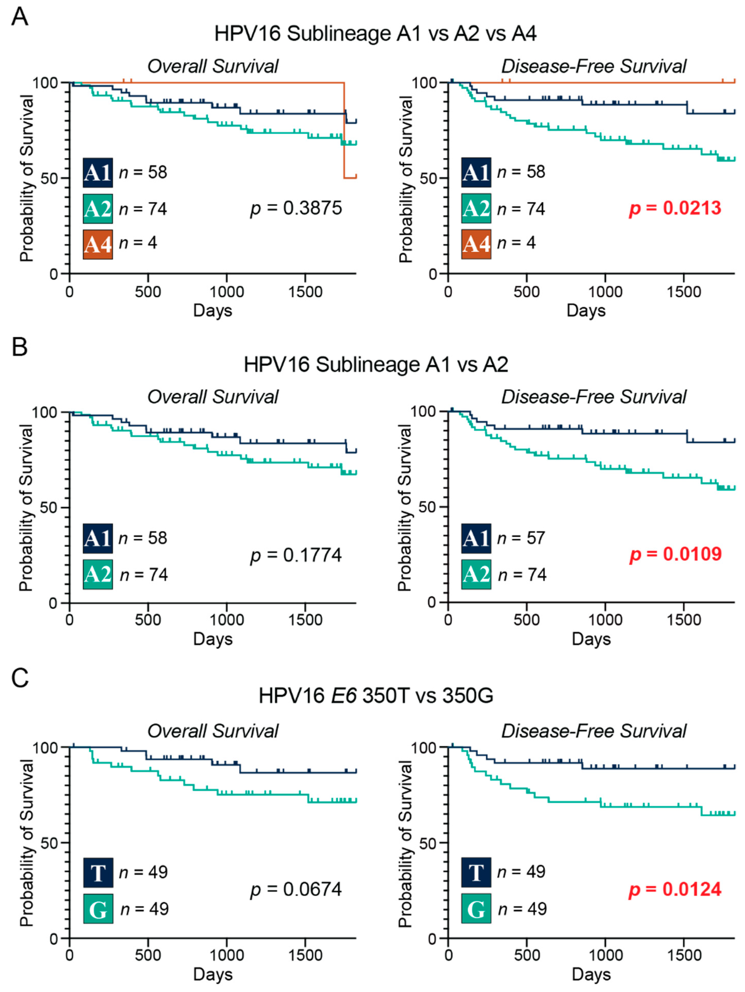 Viruses 15 02411 g002