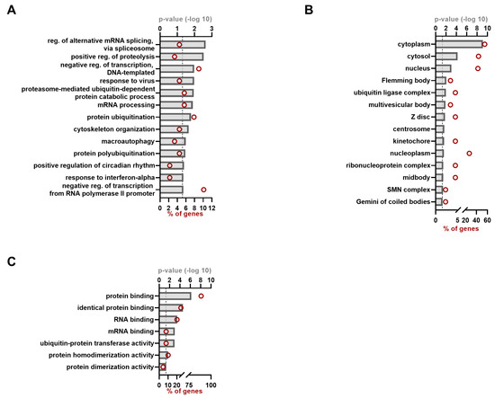 Virus–Host Protein Interaction Network of the Hepatitis E Virus  ORF2-4 by Mammalian Two-Hybrid Assays