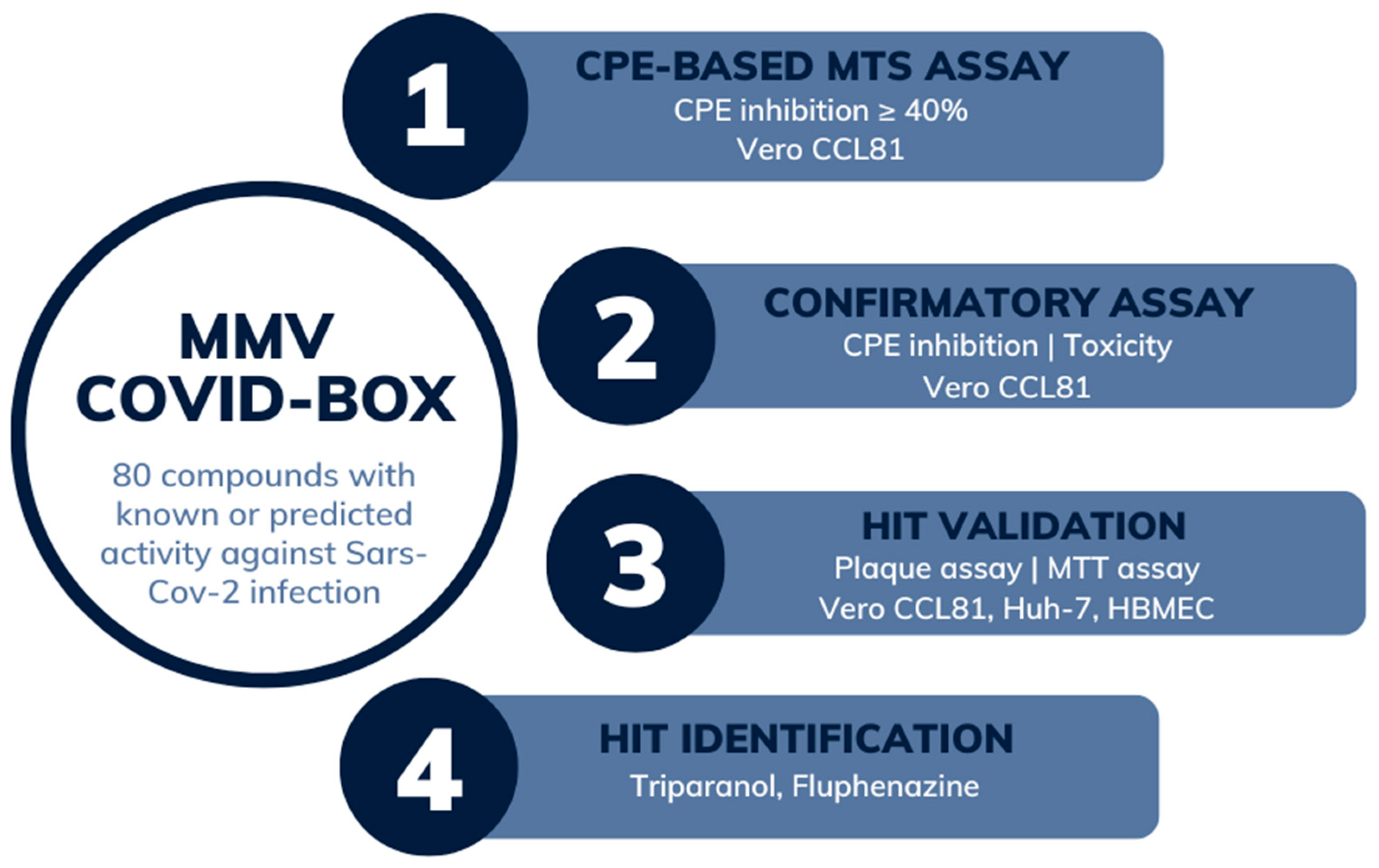 Viruses 15 02416 g001