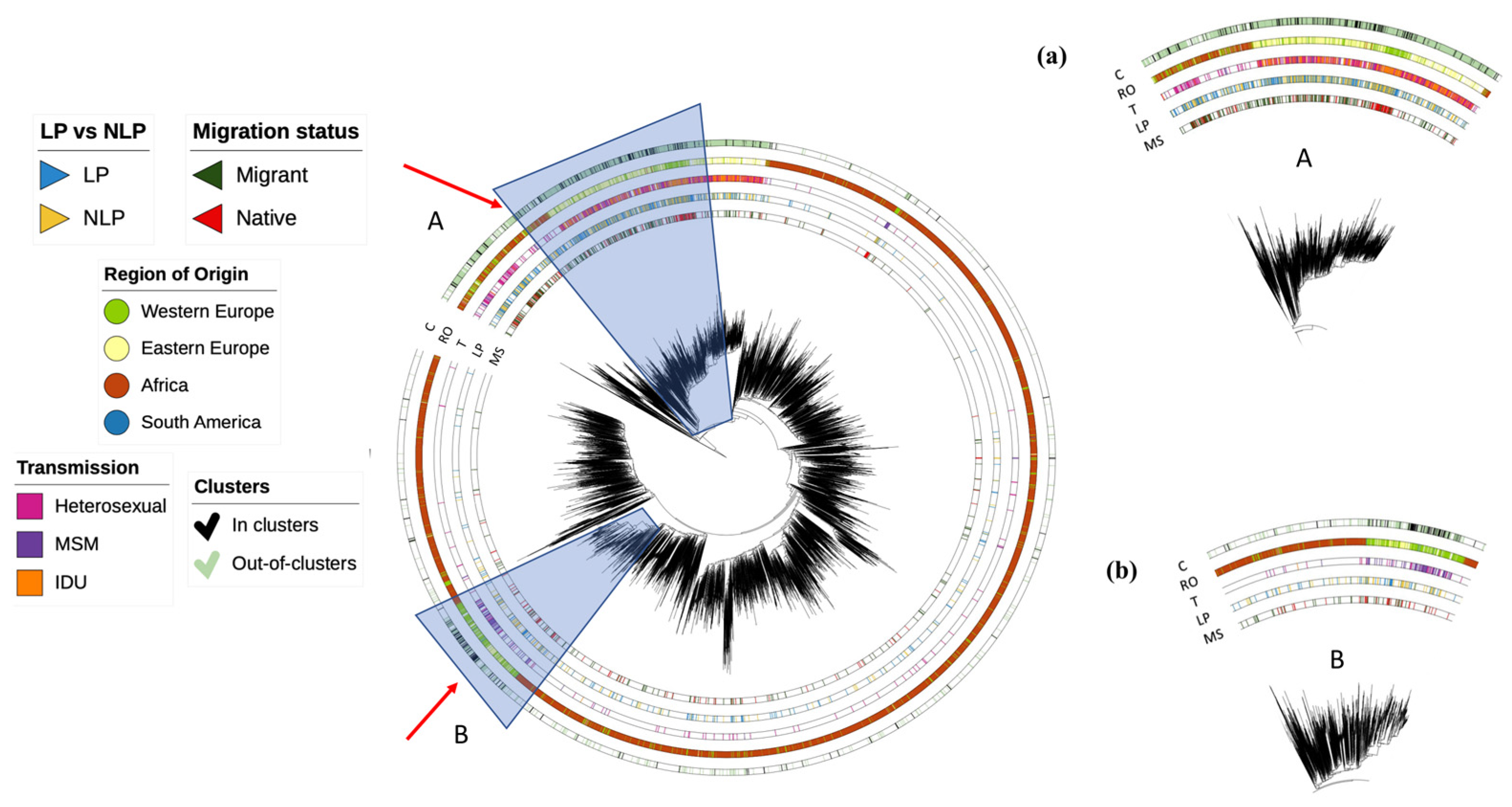 Viruses 15 02418 g001 Viruses 15 02418 g001