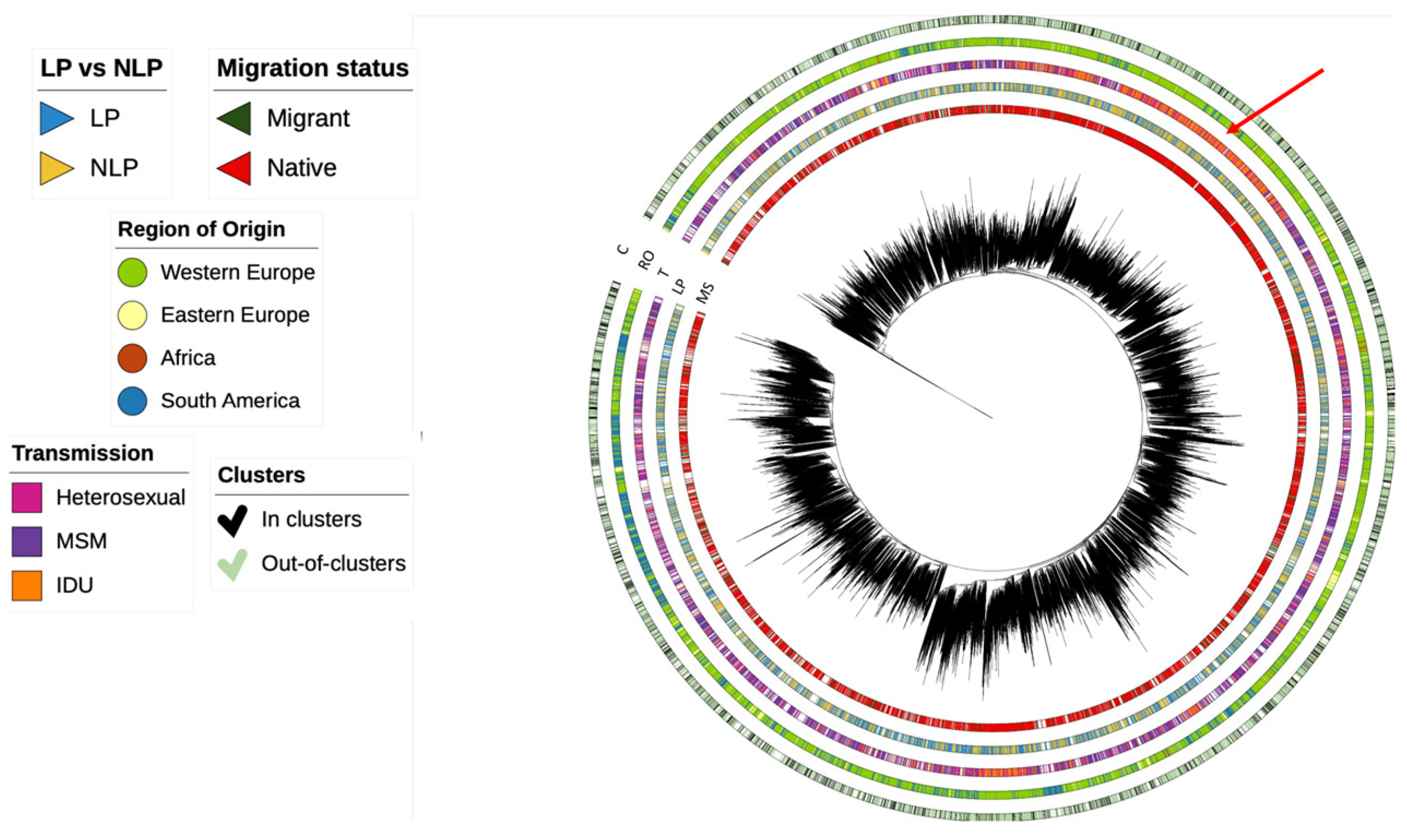 Viruses 15 02418 g002 Viruses 15 02418 g002