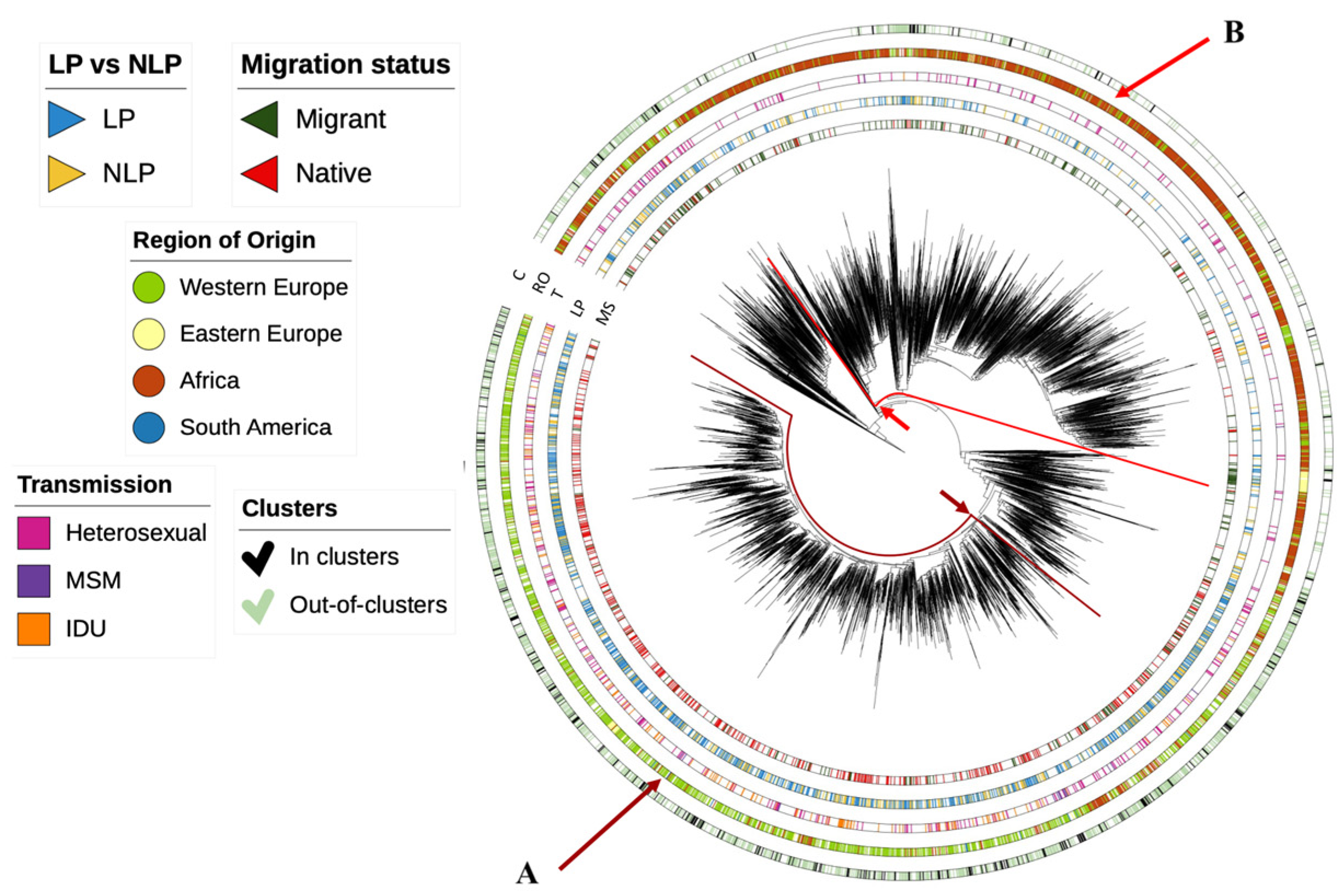 Viruses 15 02418 g003 Viruses 15 02418 g003