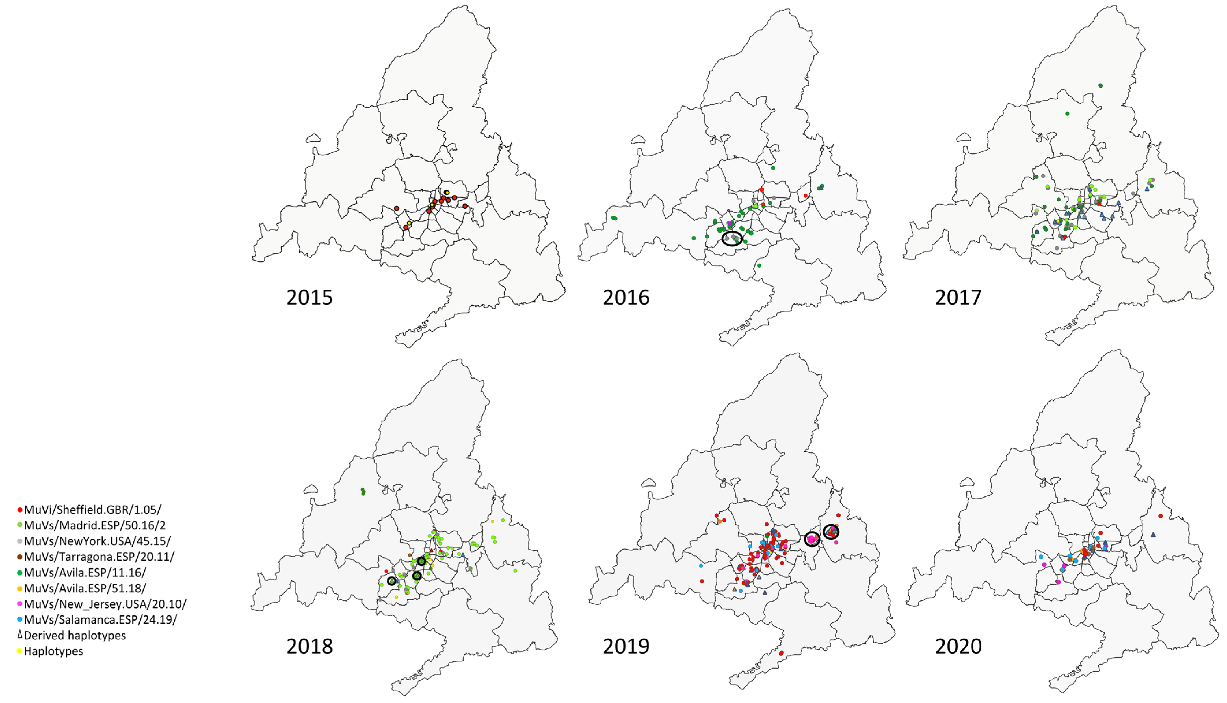 Viruses 15 02420 g002