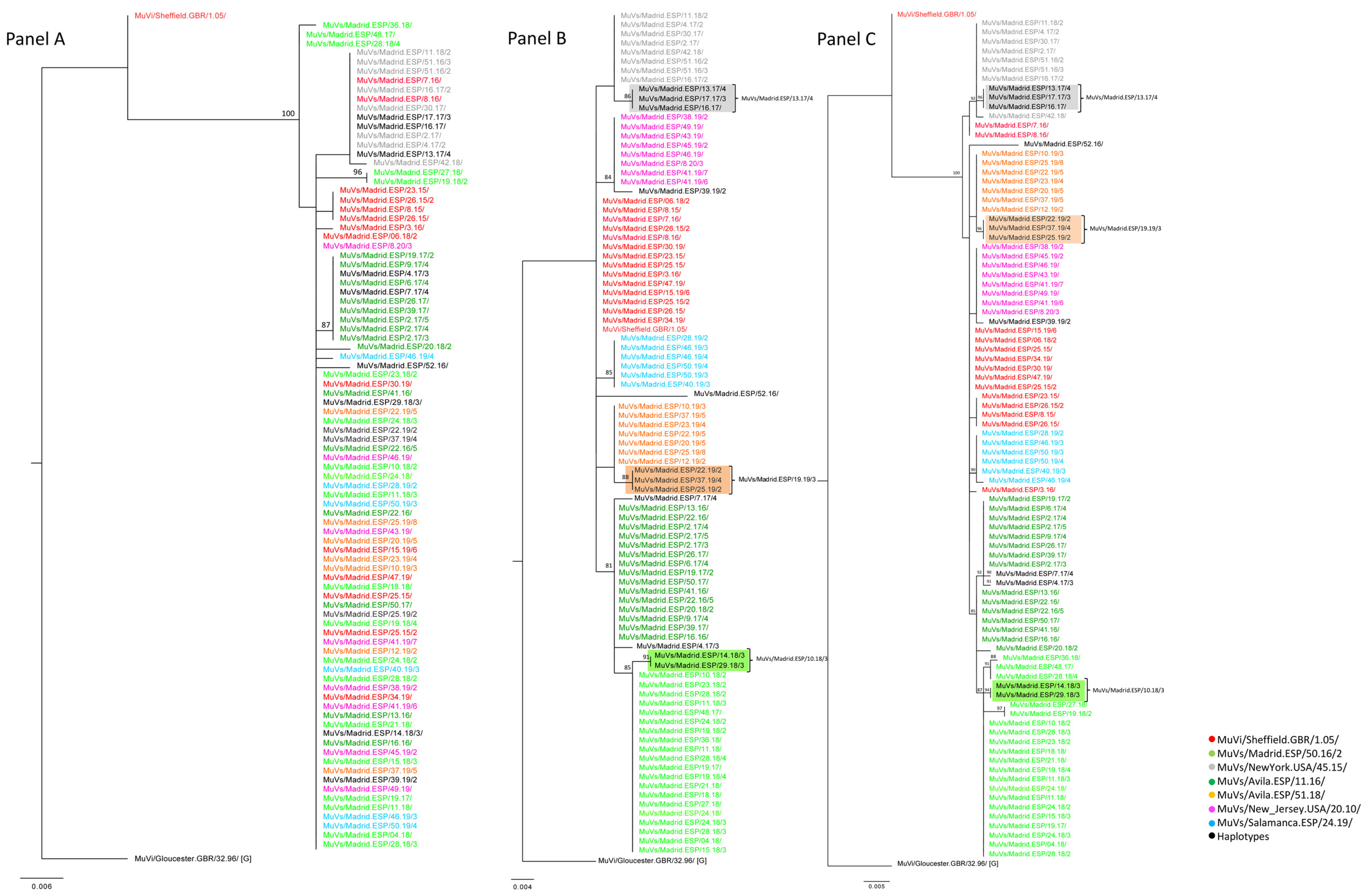 Viruses 15 02420 g003