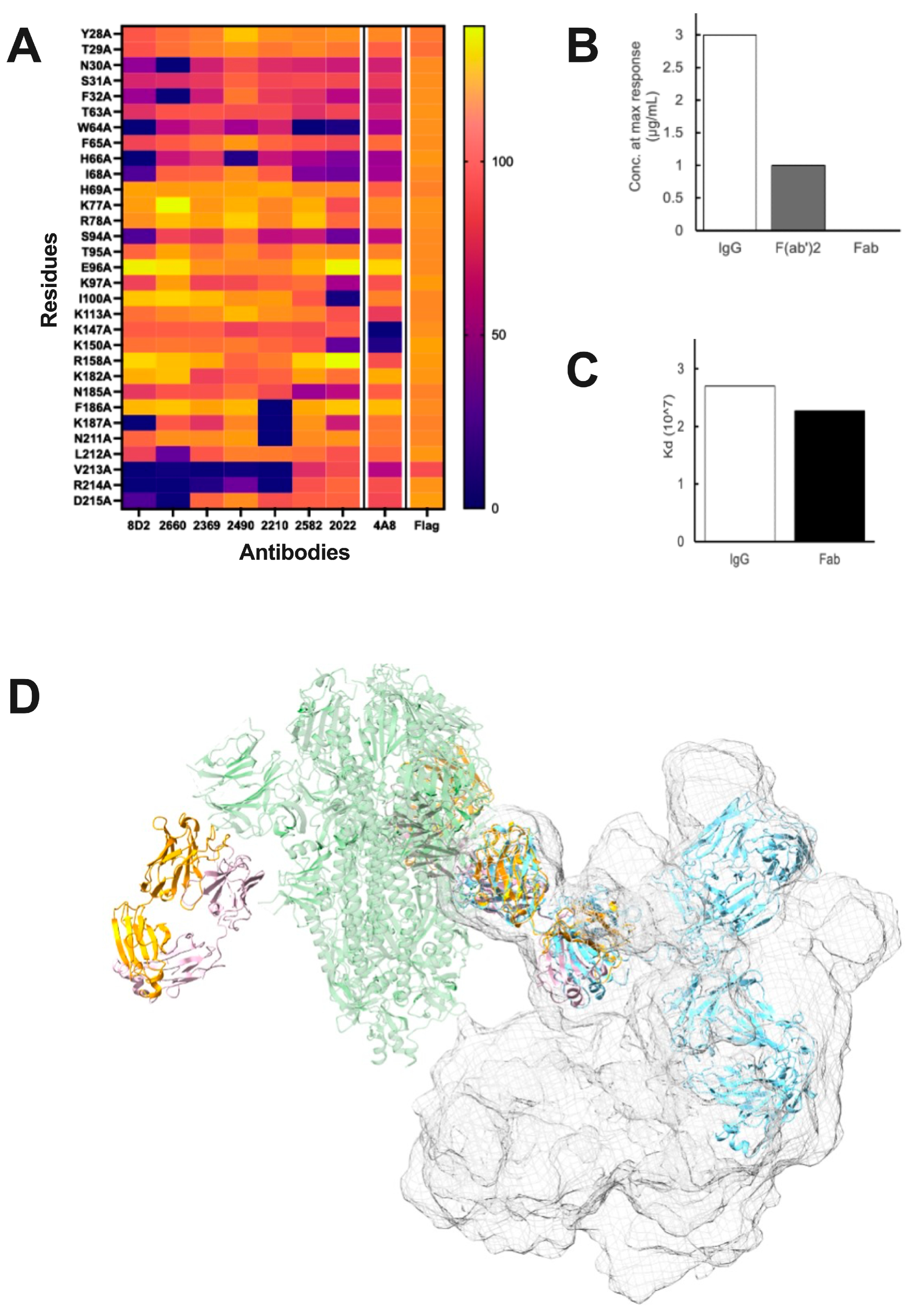 Viruses 15 02421 g001