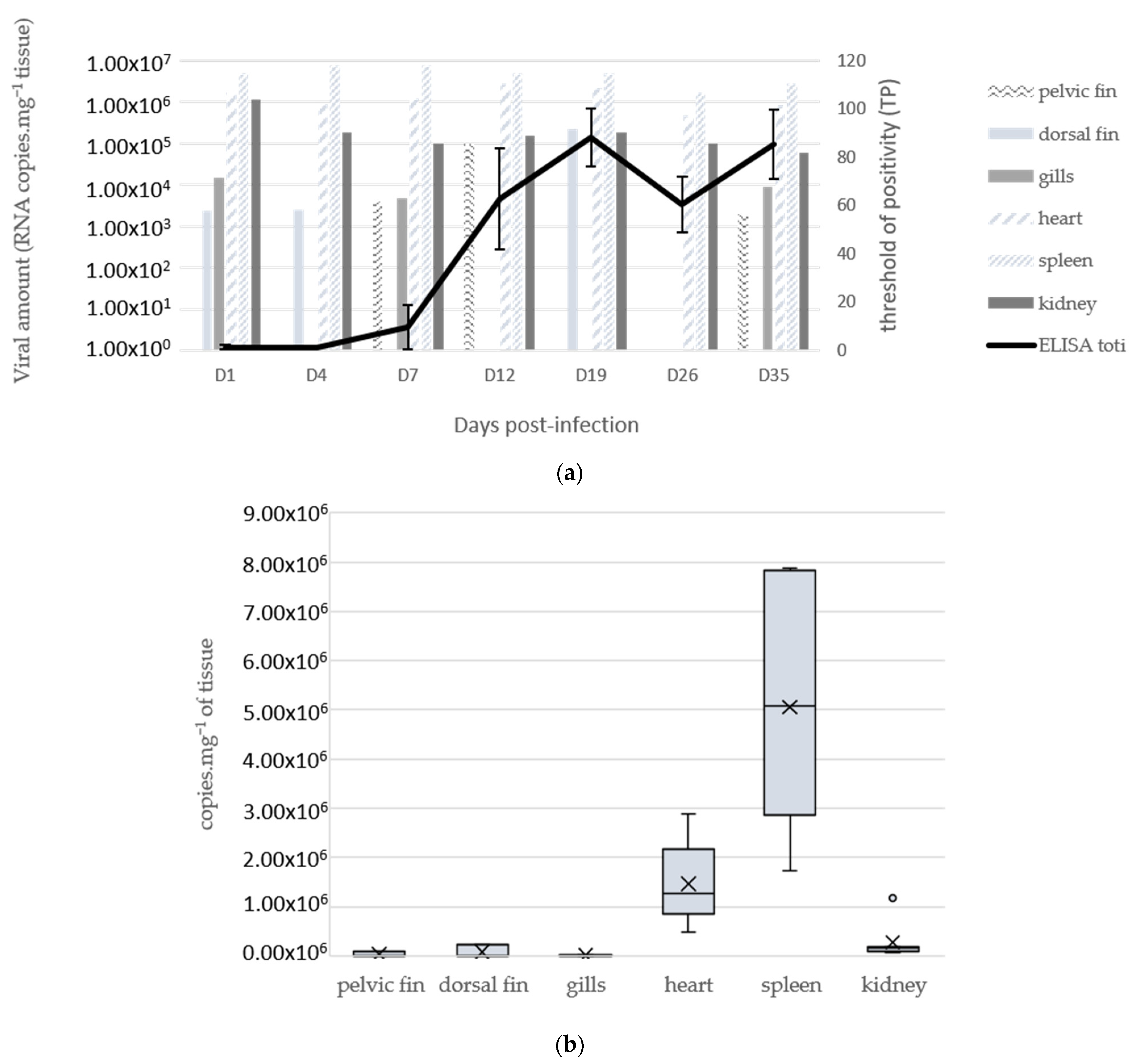Viruses | free full-text | characterization of a new toti-like virus in