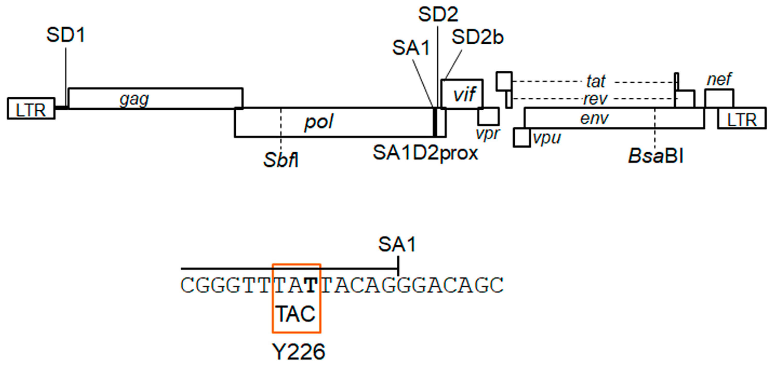Viruses 15 02424 g001