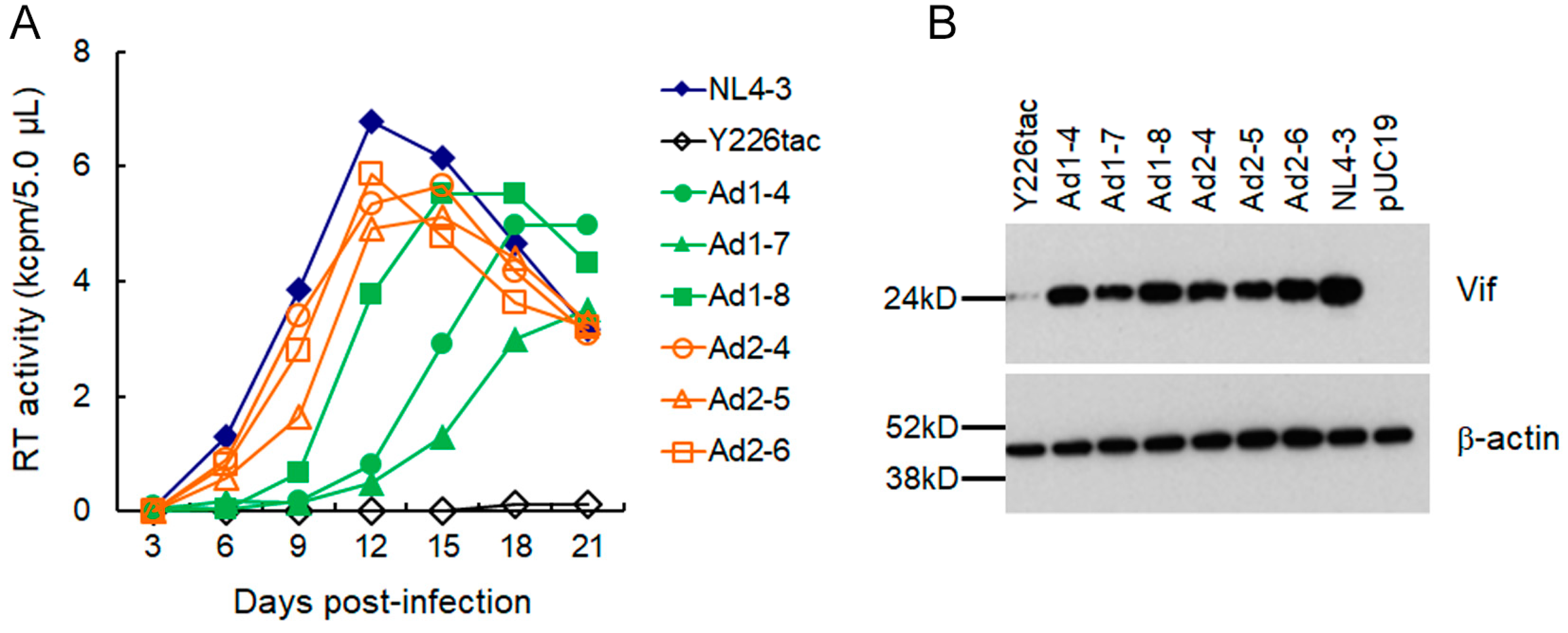 Viruses 15 02424 g003