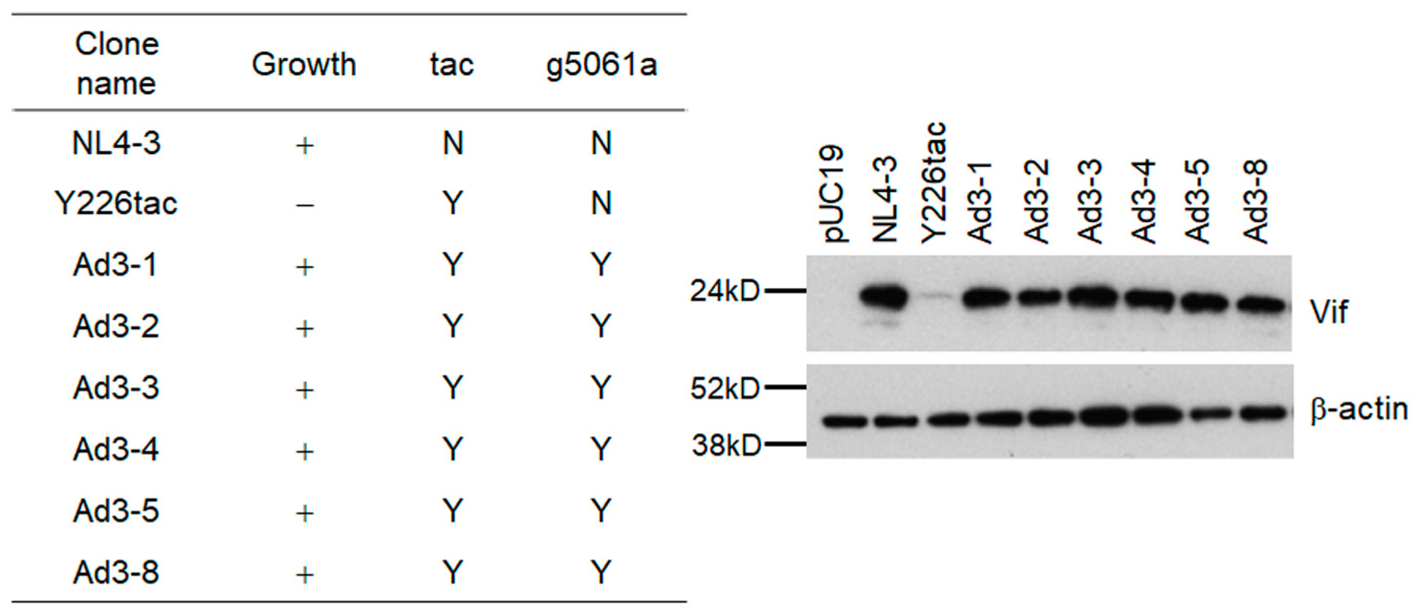 Viruses 15 02424 g006