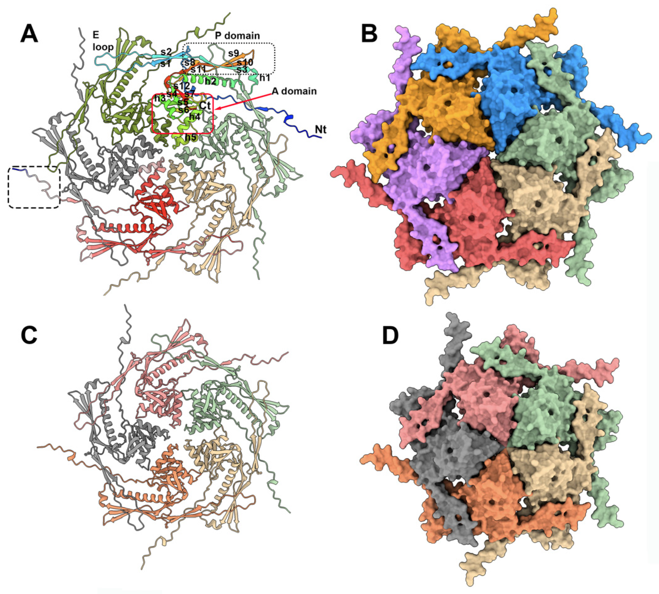 Viruses 15 02440 g002 Viruses 15 02440 g002