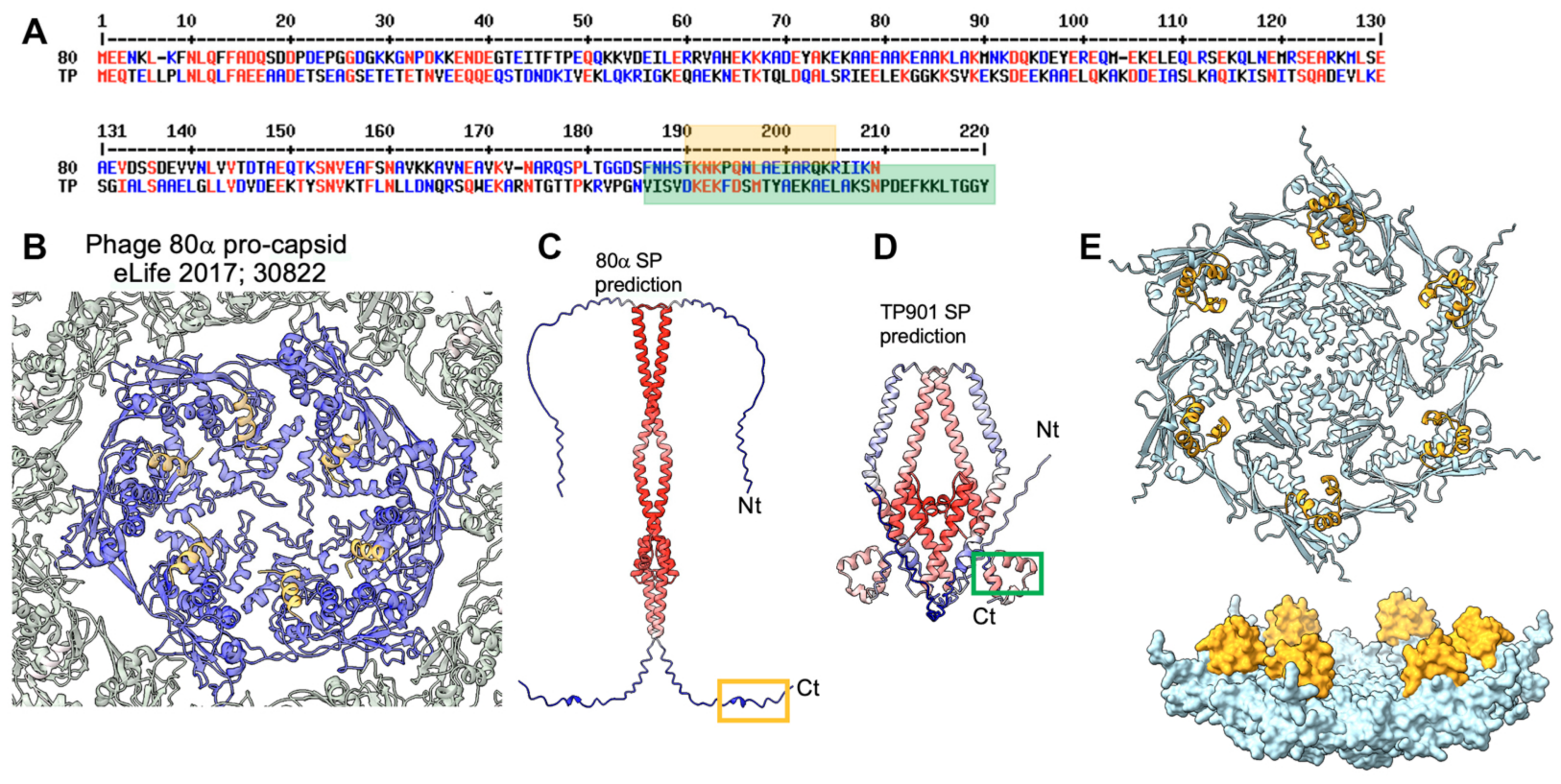 Viruses 15 02440 g003 Viruses 15 02440 g003