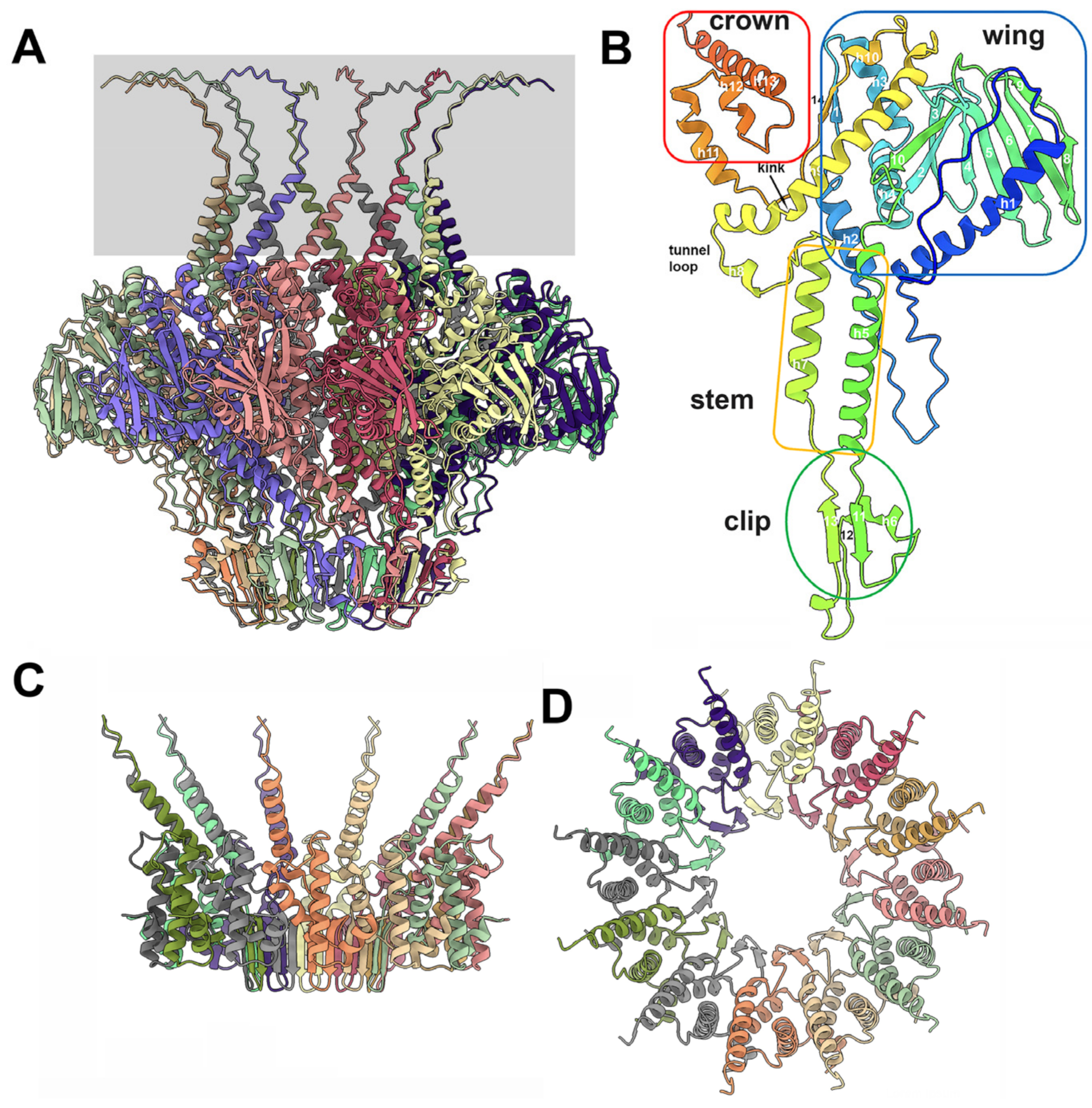 Viruses 15 02440 g004 Viruses 15 02440 g004