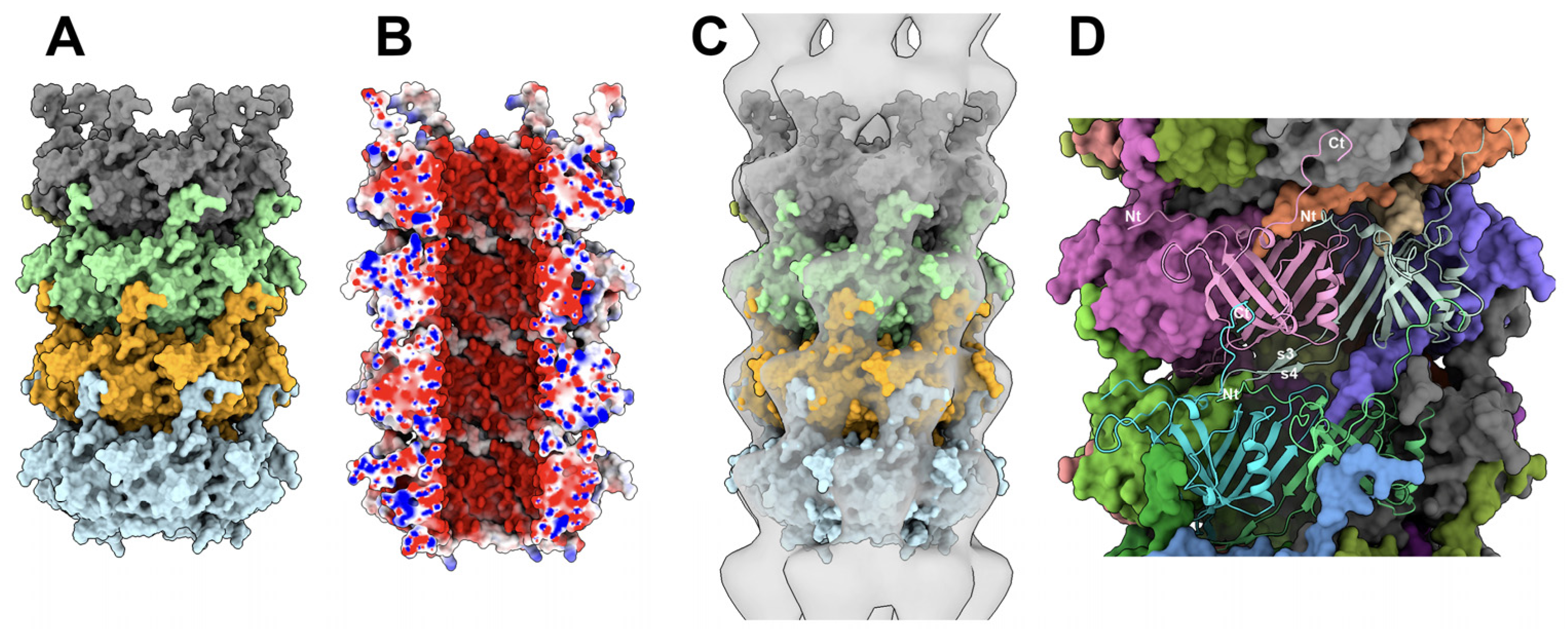 Viruses 15 02440 g007 Viruses 15 02440 g007