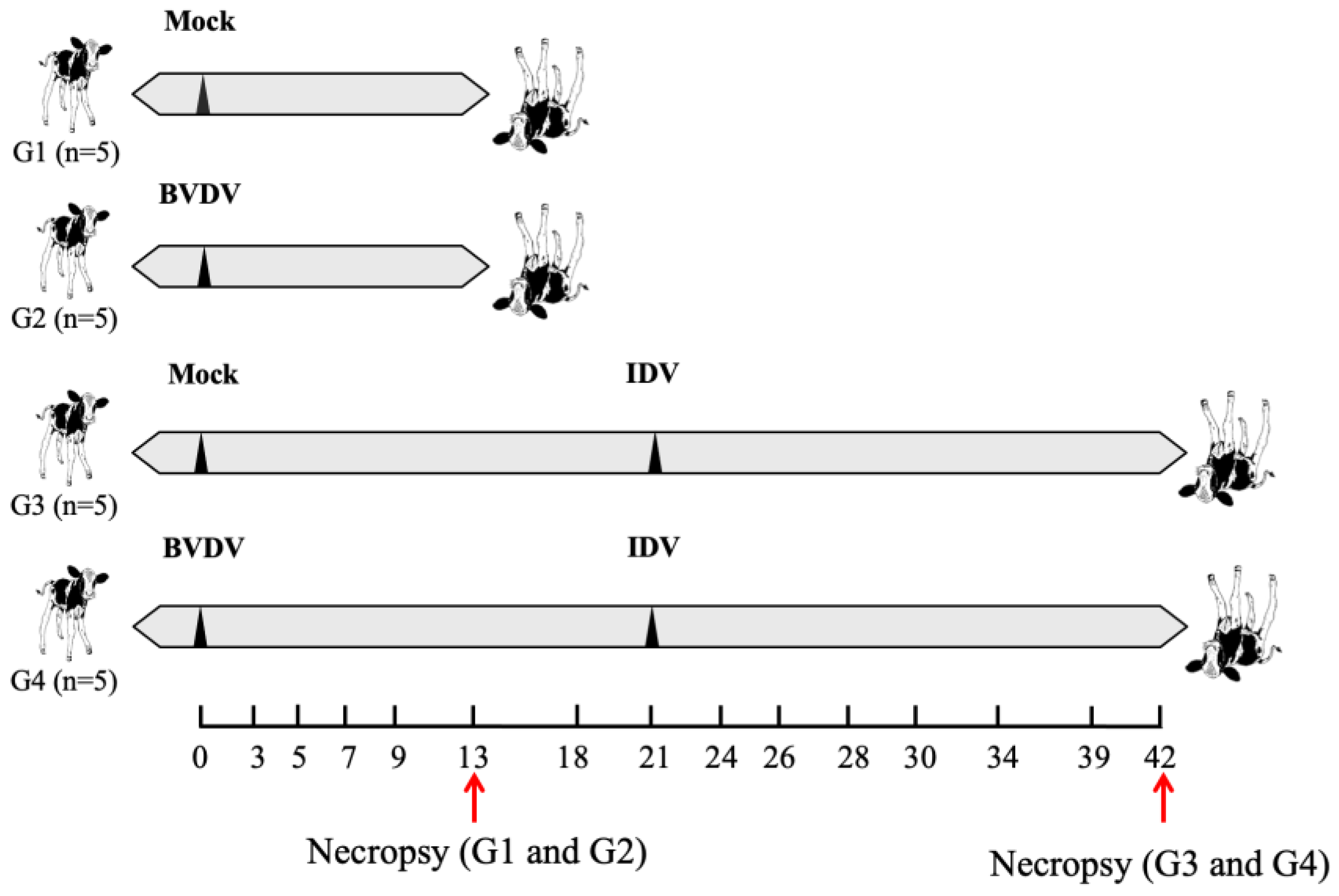 Viruses 15 02442 g001