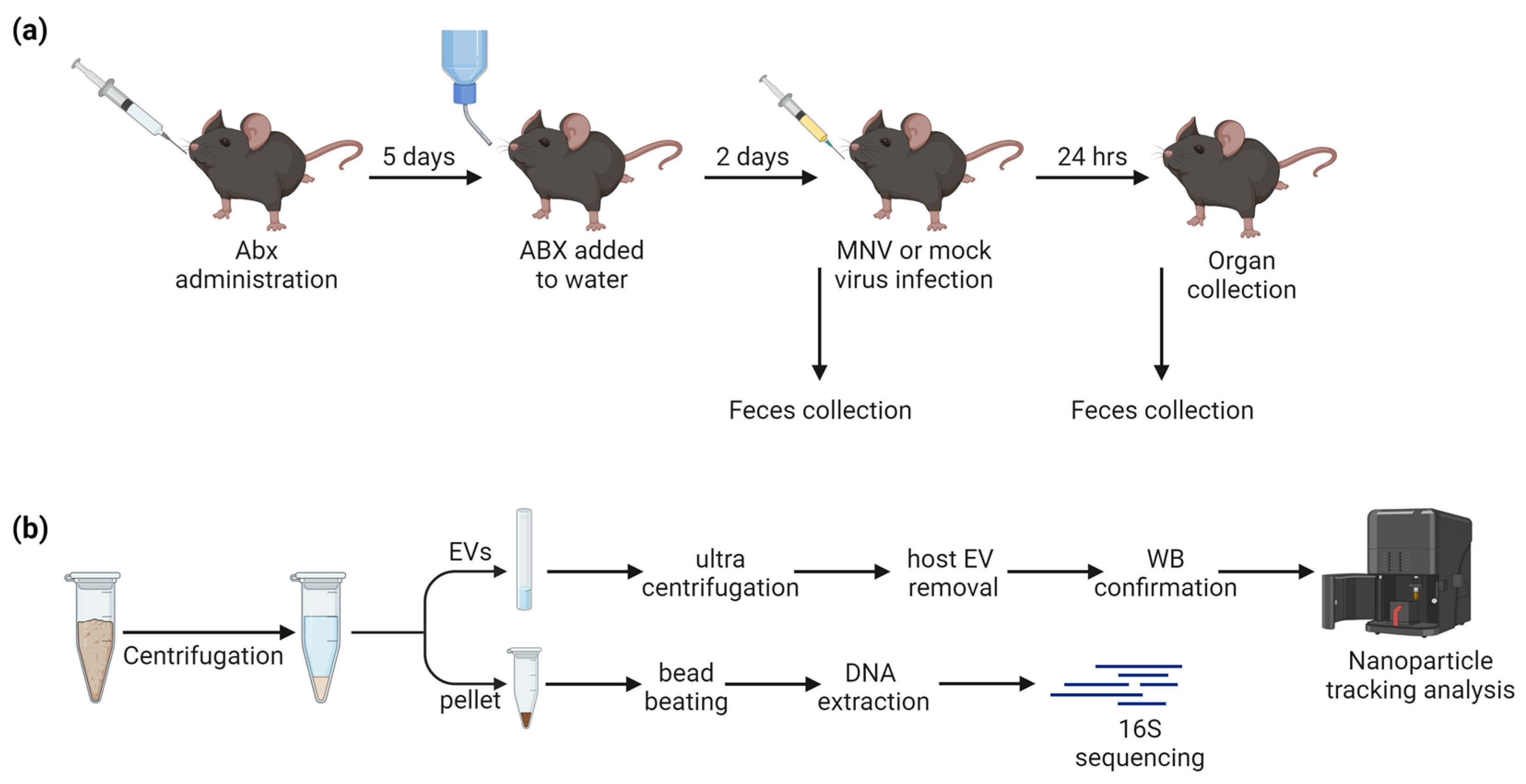 Viruses 15 02443 g001 Viruses 15 02443 g001