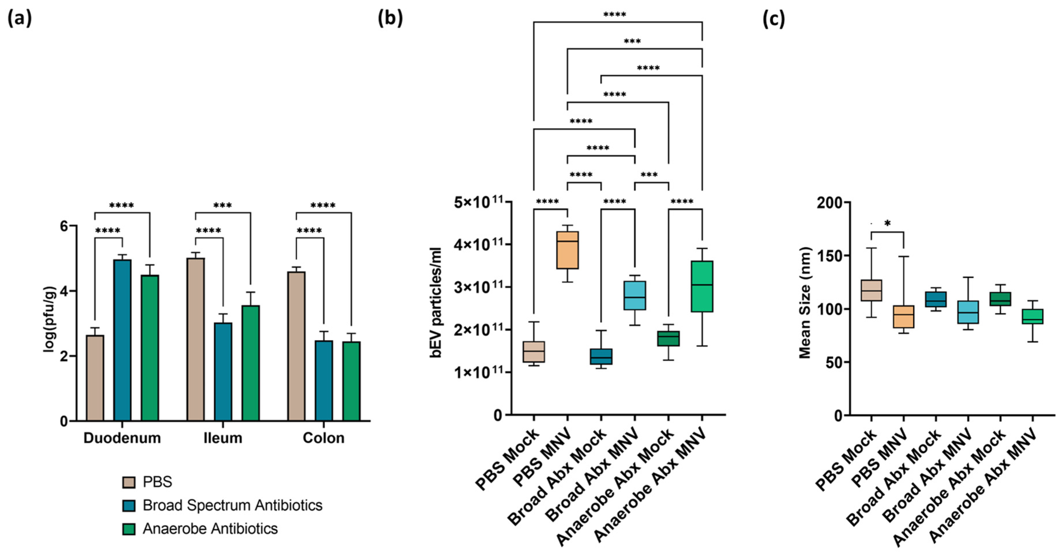Viruses 15 02443 g002 Viruses 15 02443 g002