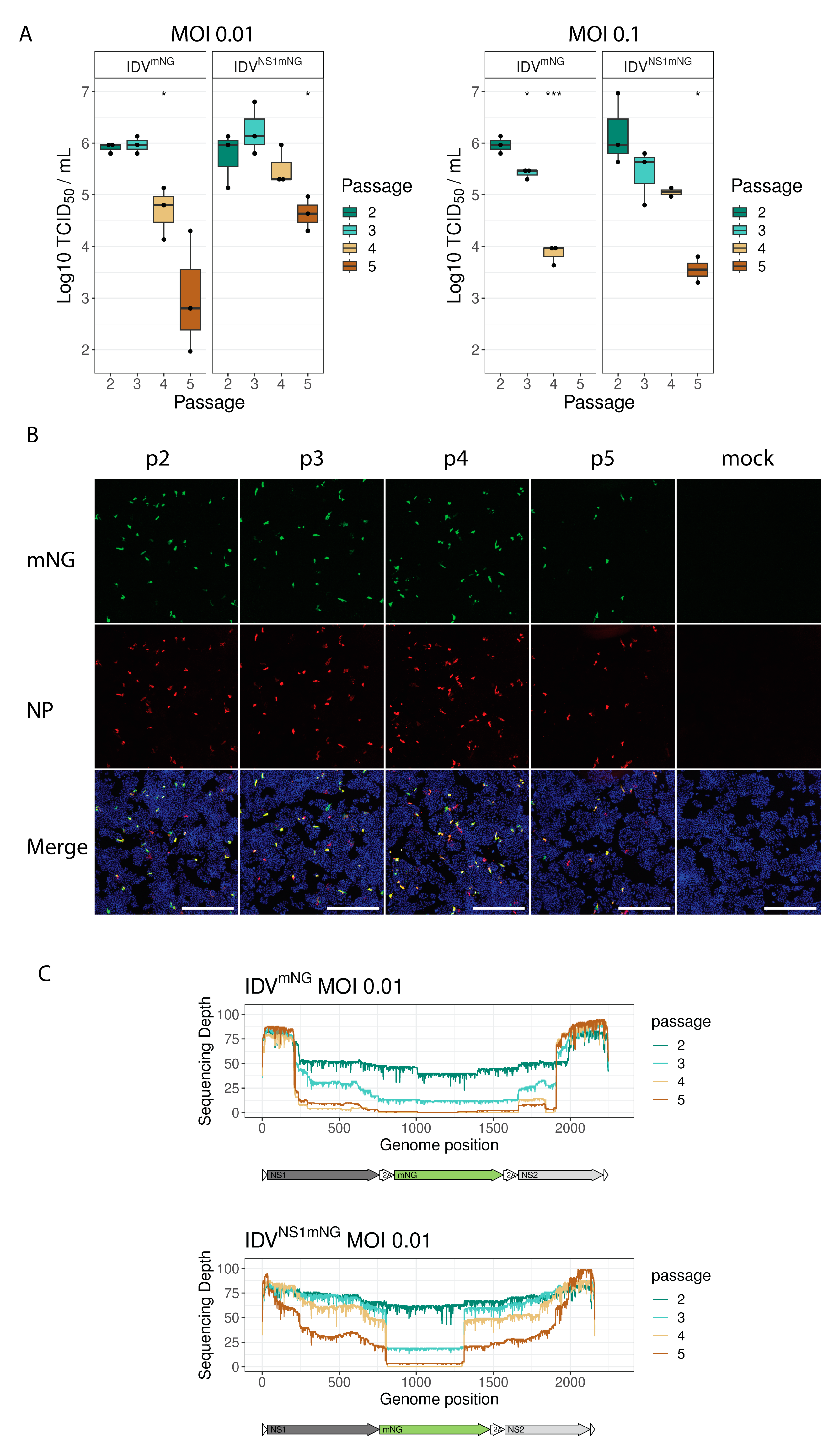Viruses 15 02444 g002
