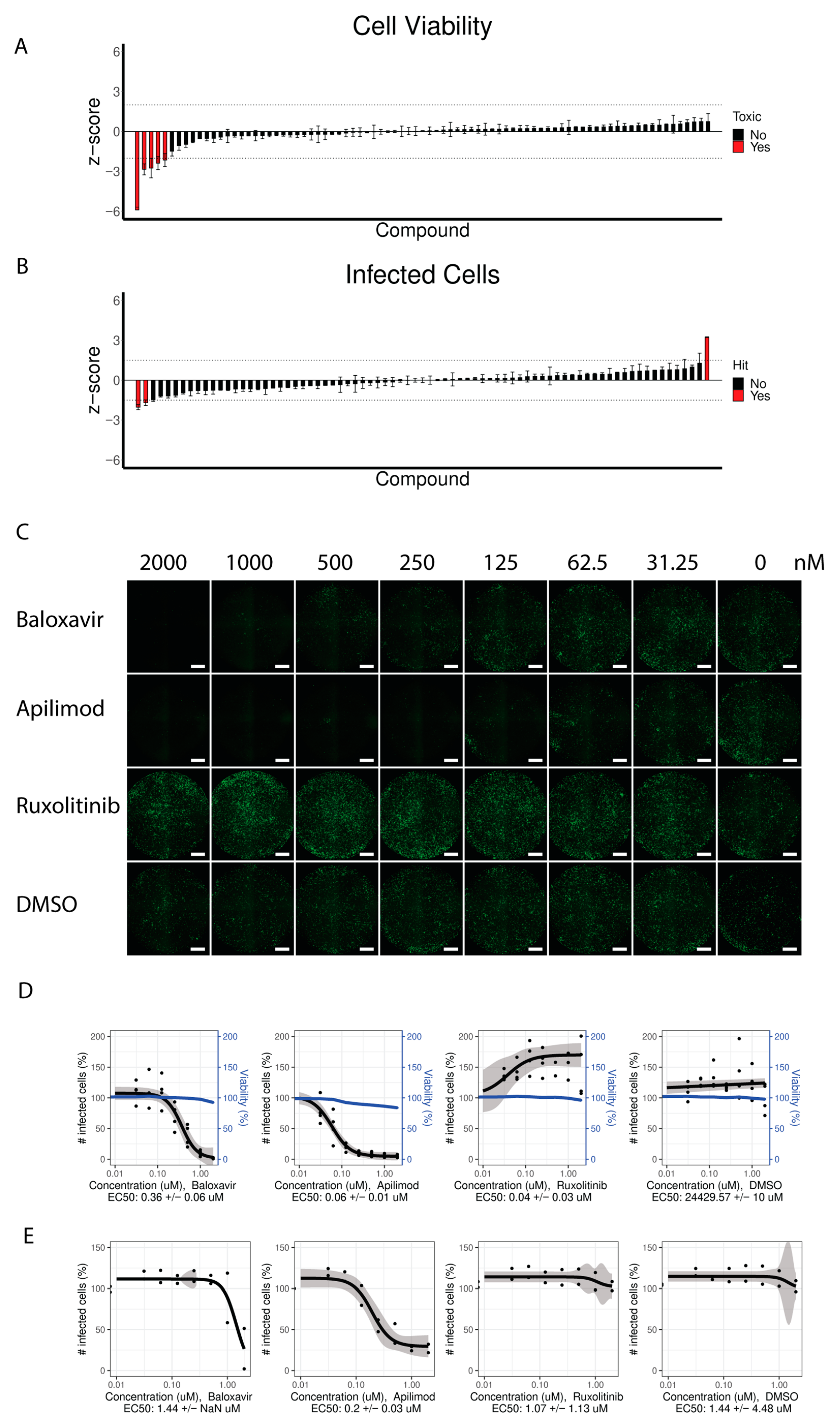 Viruses 15 02444 g004