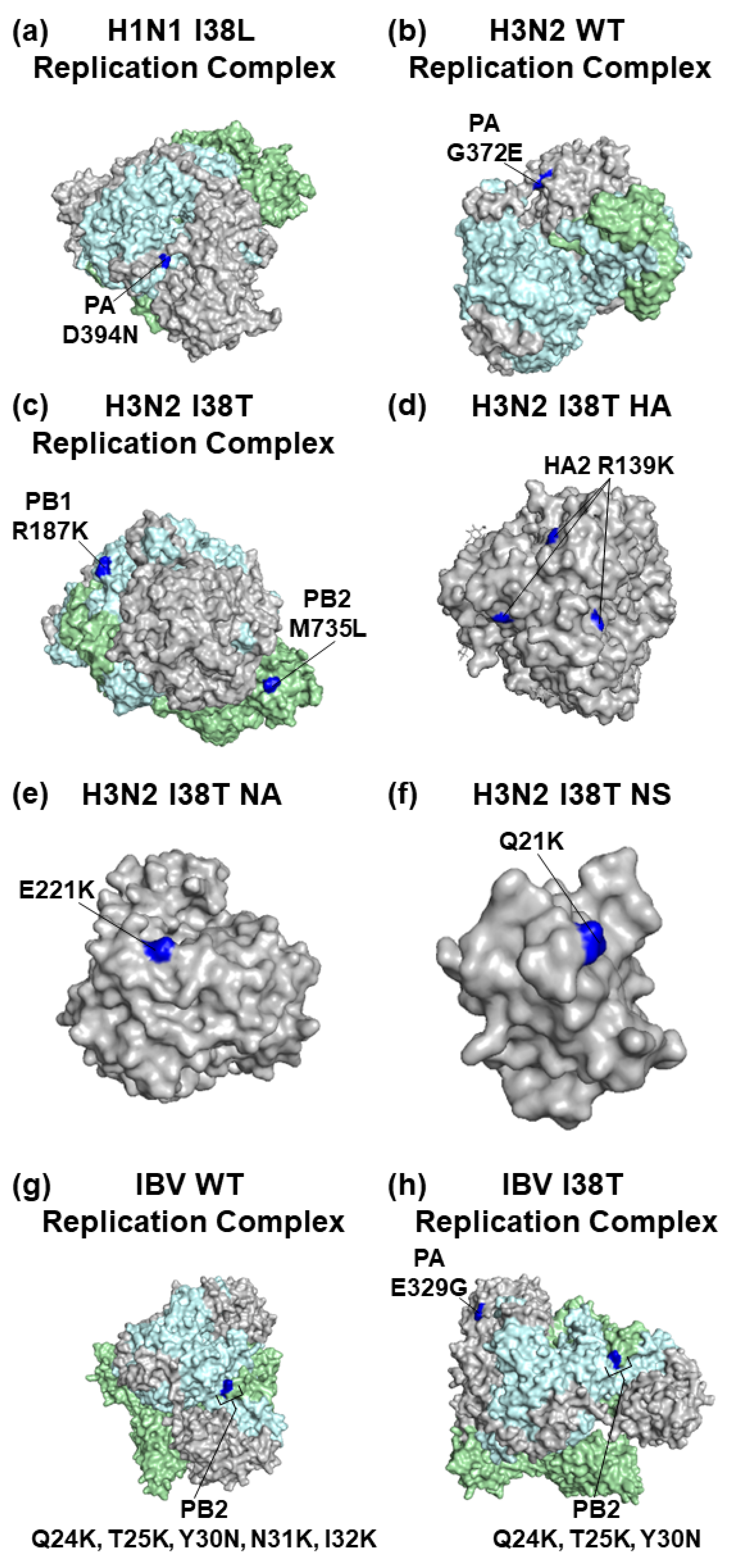 Viruses 15 02446 g009