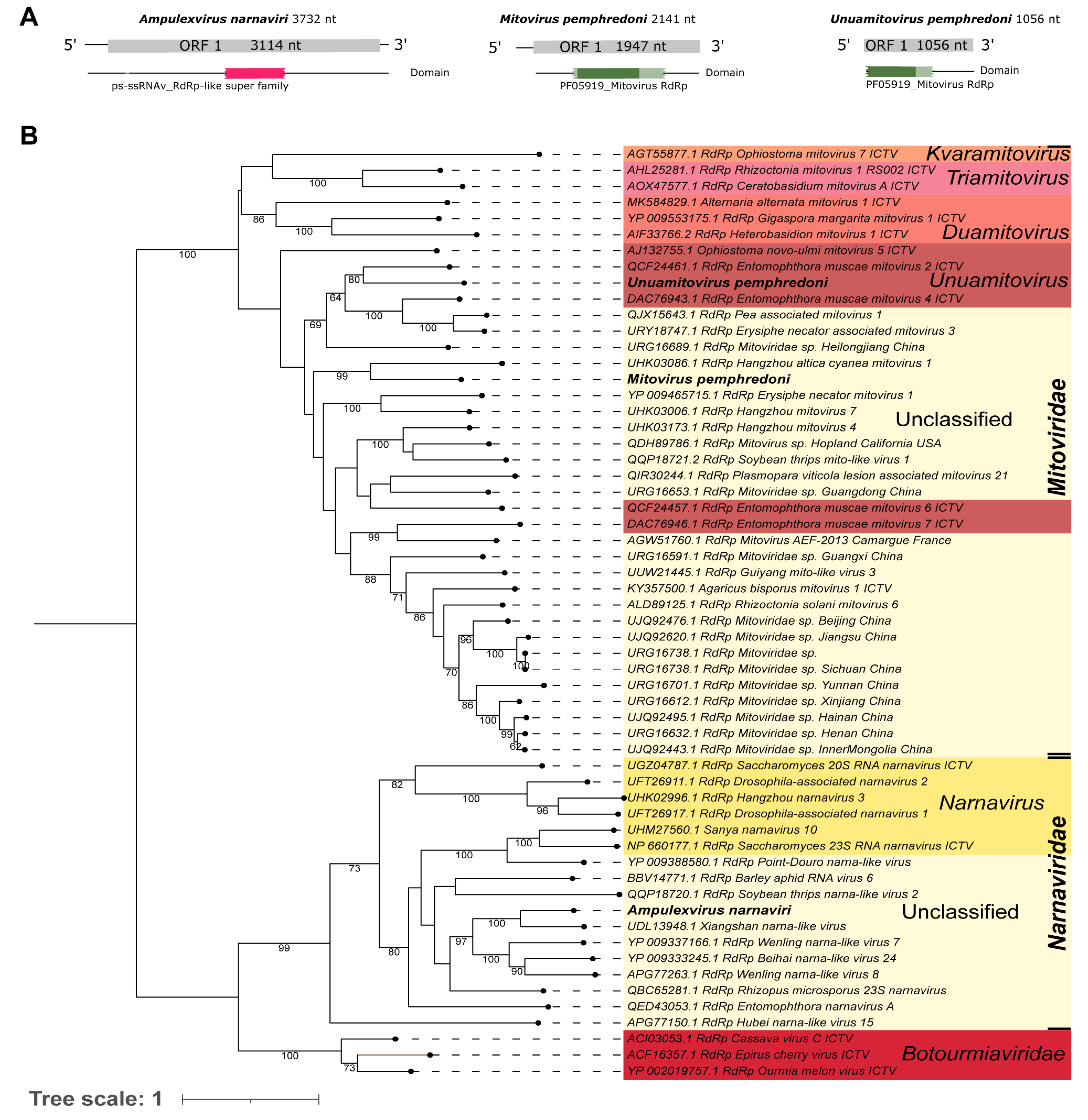Viruses 15 02448 g003 Viruses 15 02448 g003