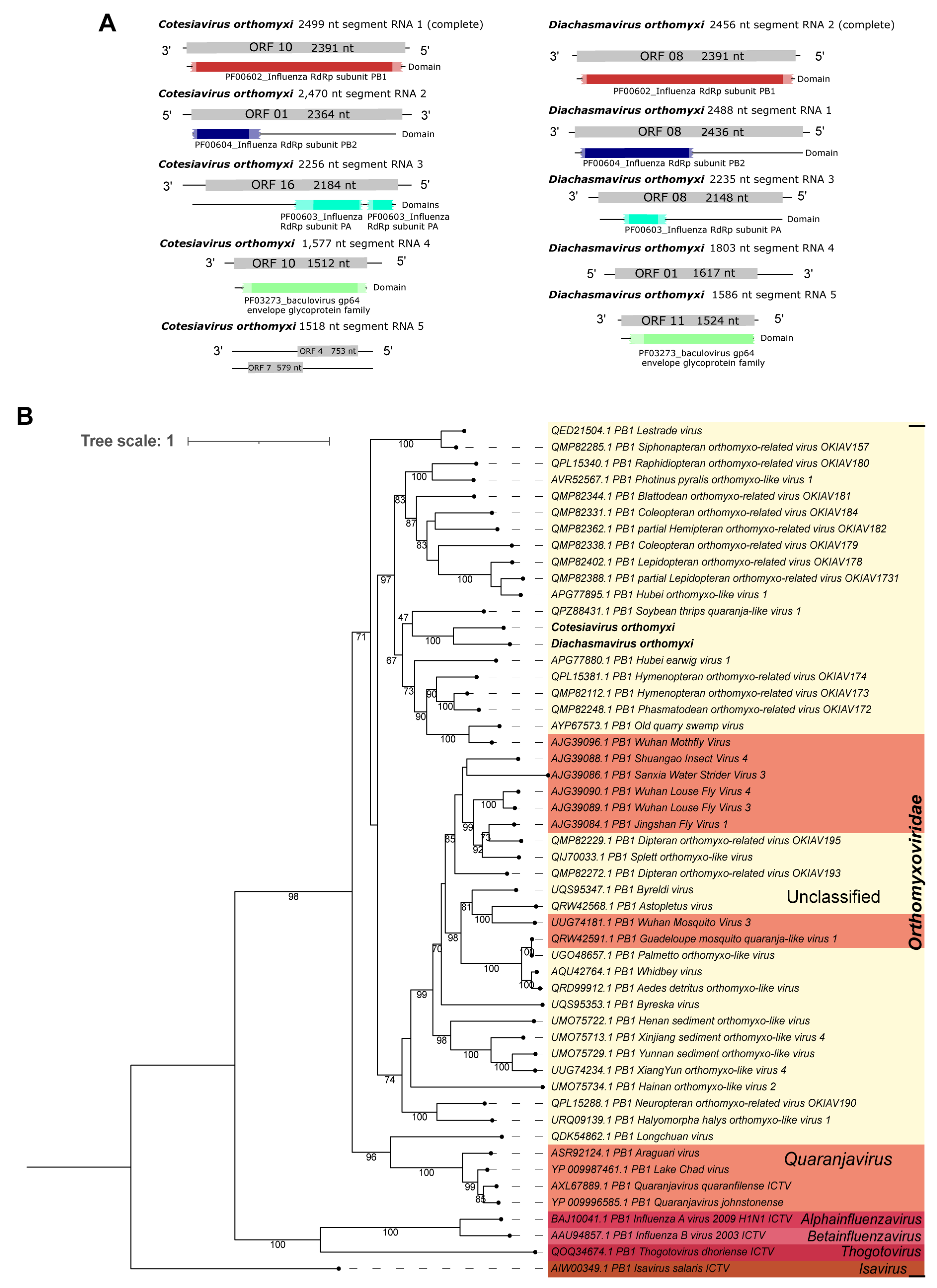 Viruses 15 02448 g005 Viruses 15 02448 g005