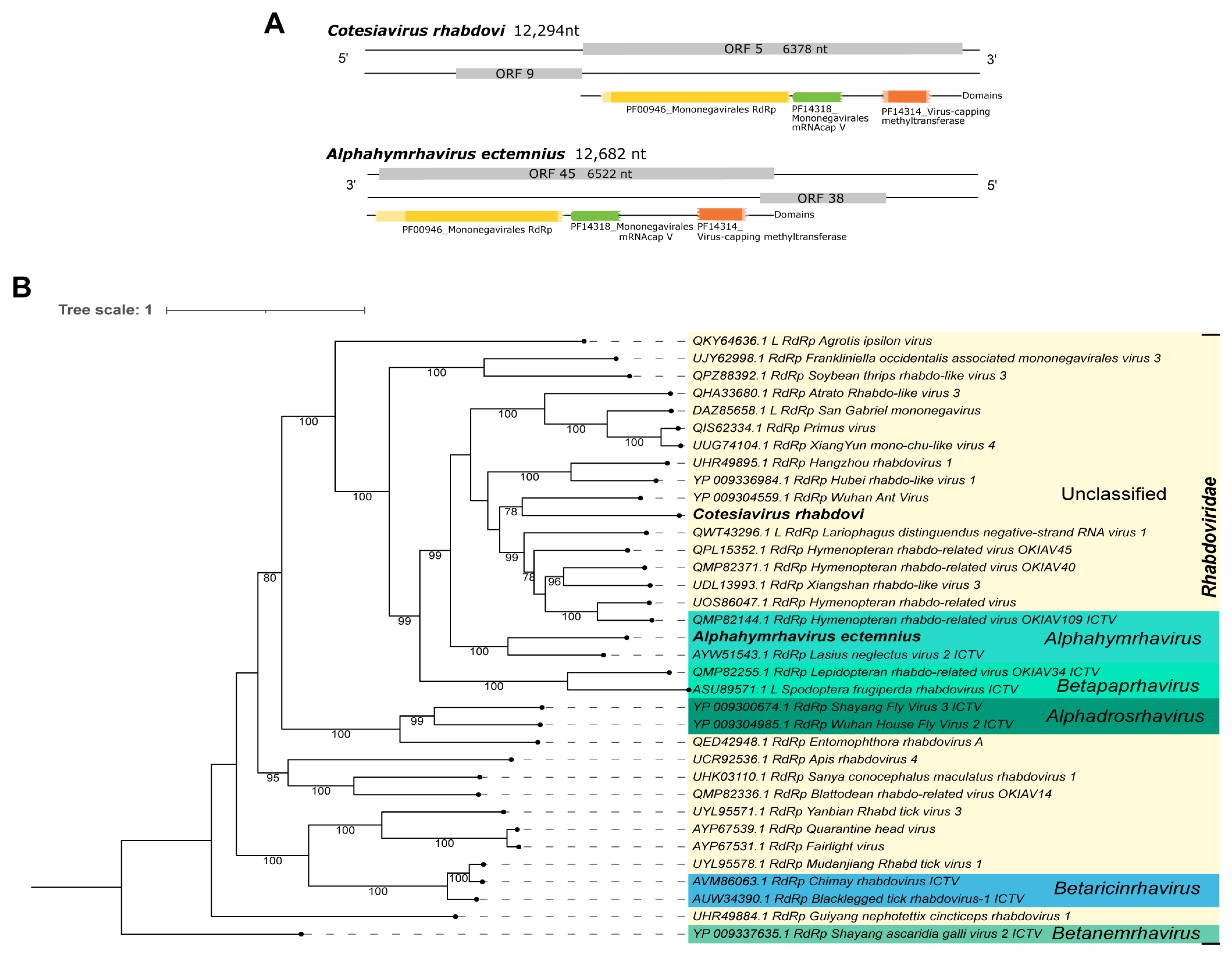 Viruses 15 02448 g006 Viruses 15 02448 g006