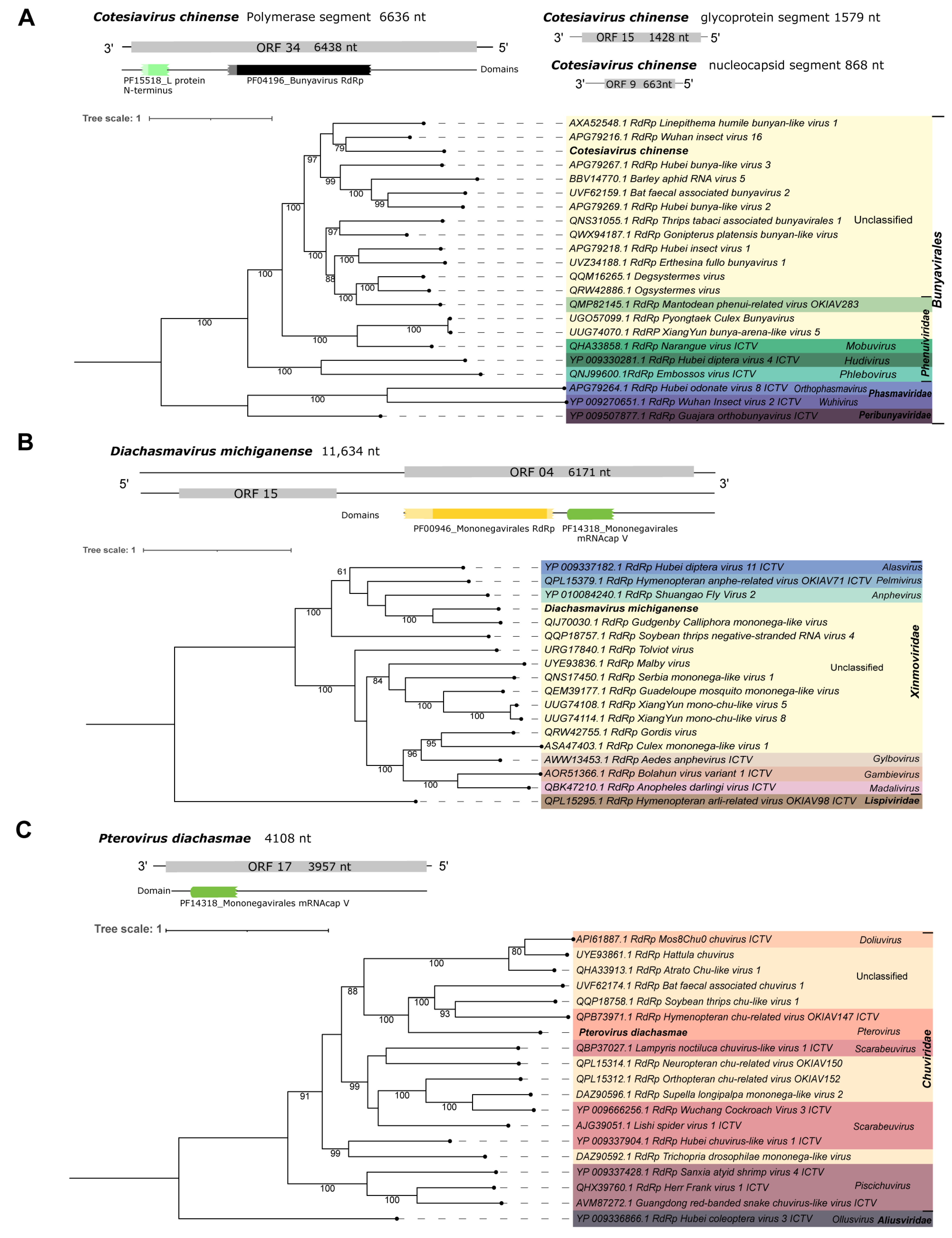 Viruses 15 02448 g007 Viruses 15 02448 g007