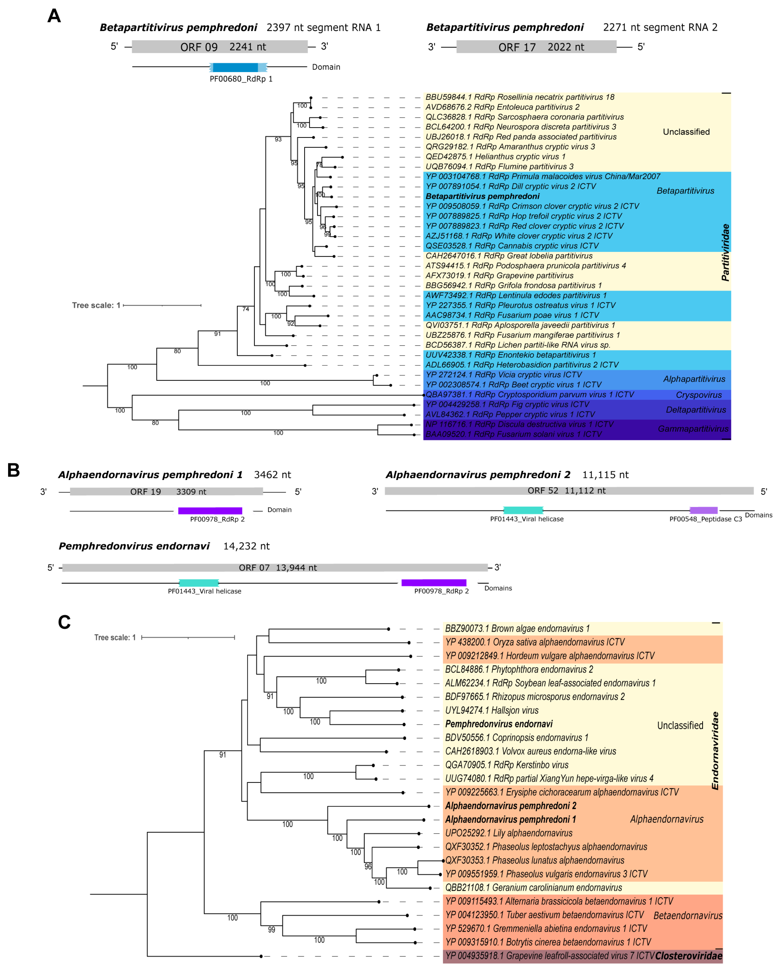 Viruses 15 02448 g008 Viruses 15 02448 g008