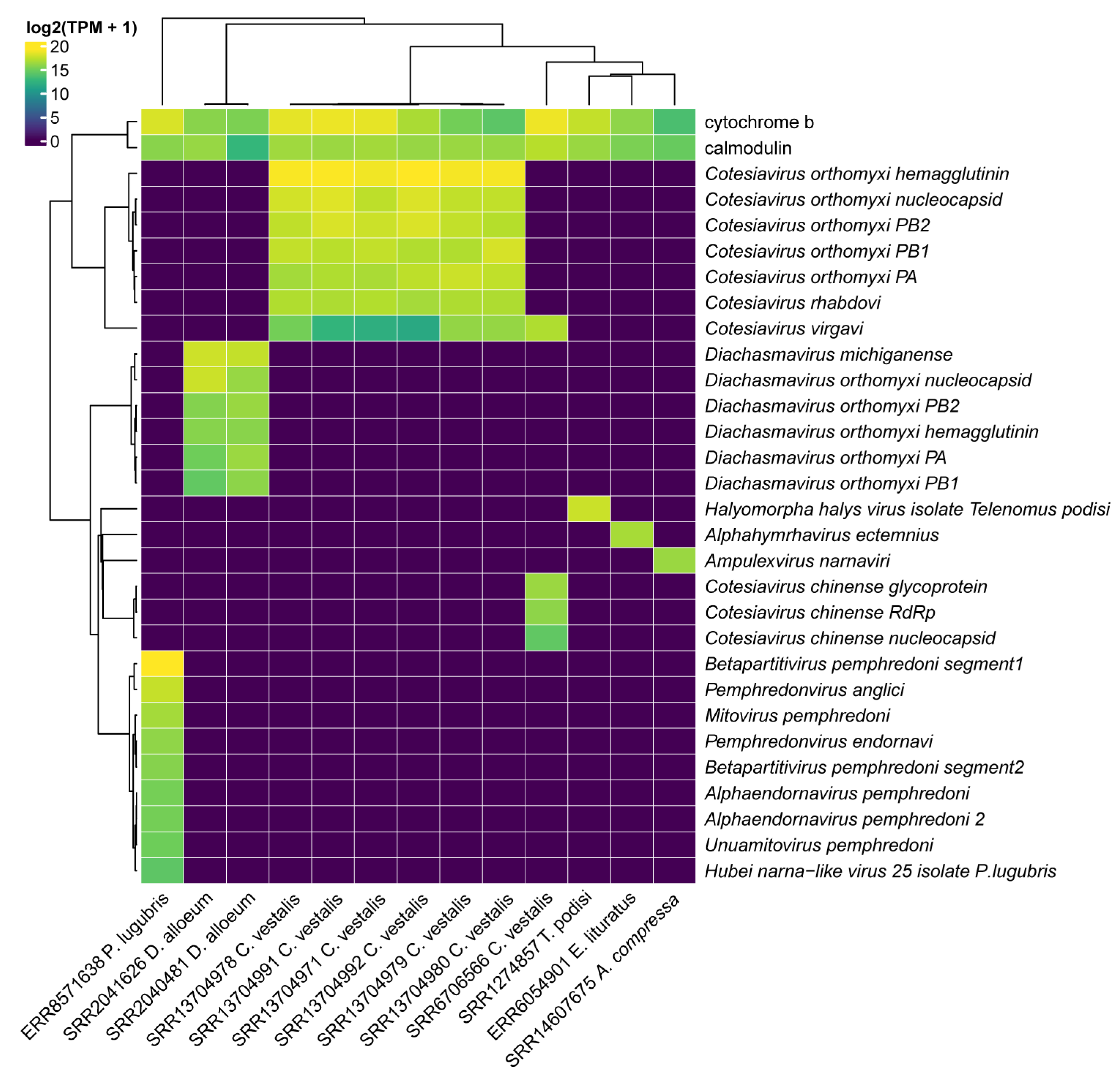 Viruses 15 02448 g009 Viruses 15 02448 g009