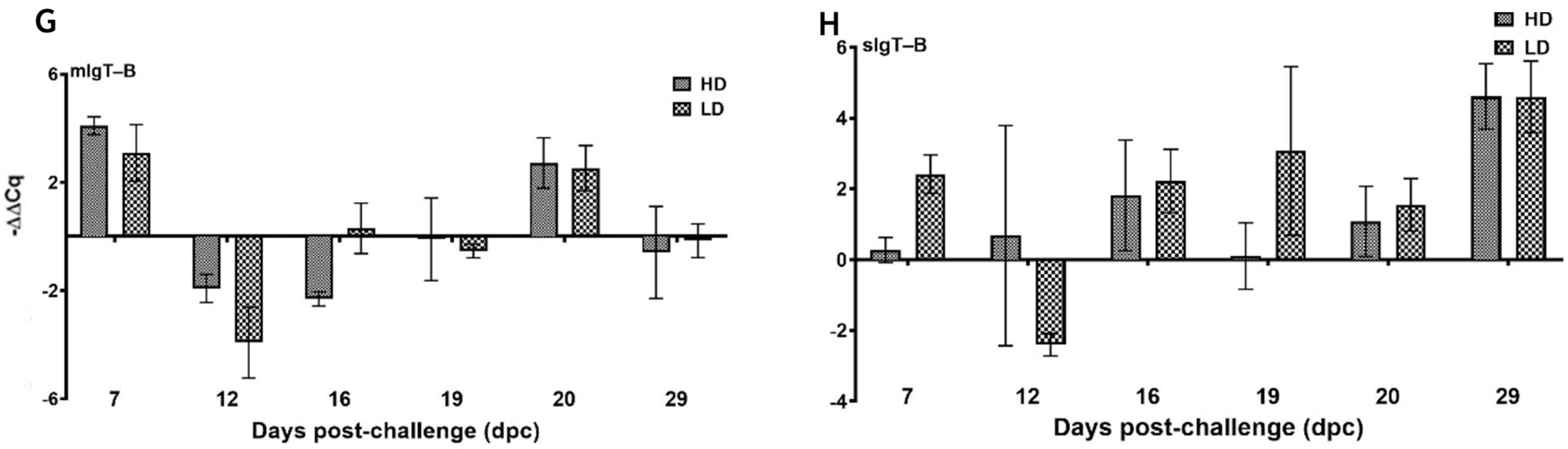 Viruses 15 02450 g009b Viruses 15 02450 g009b